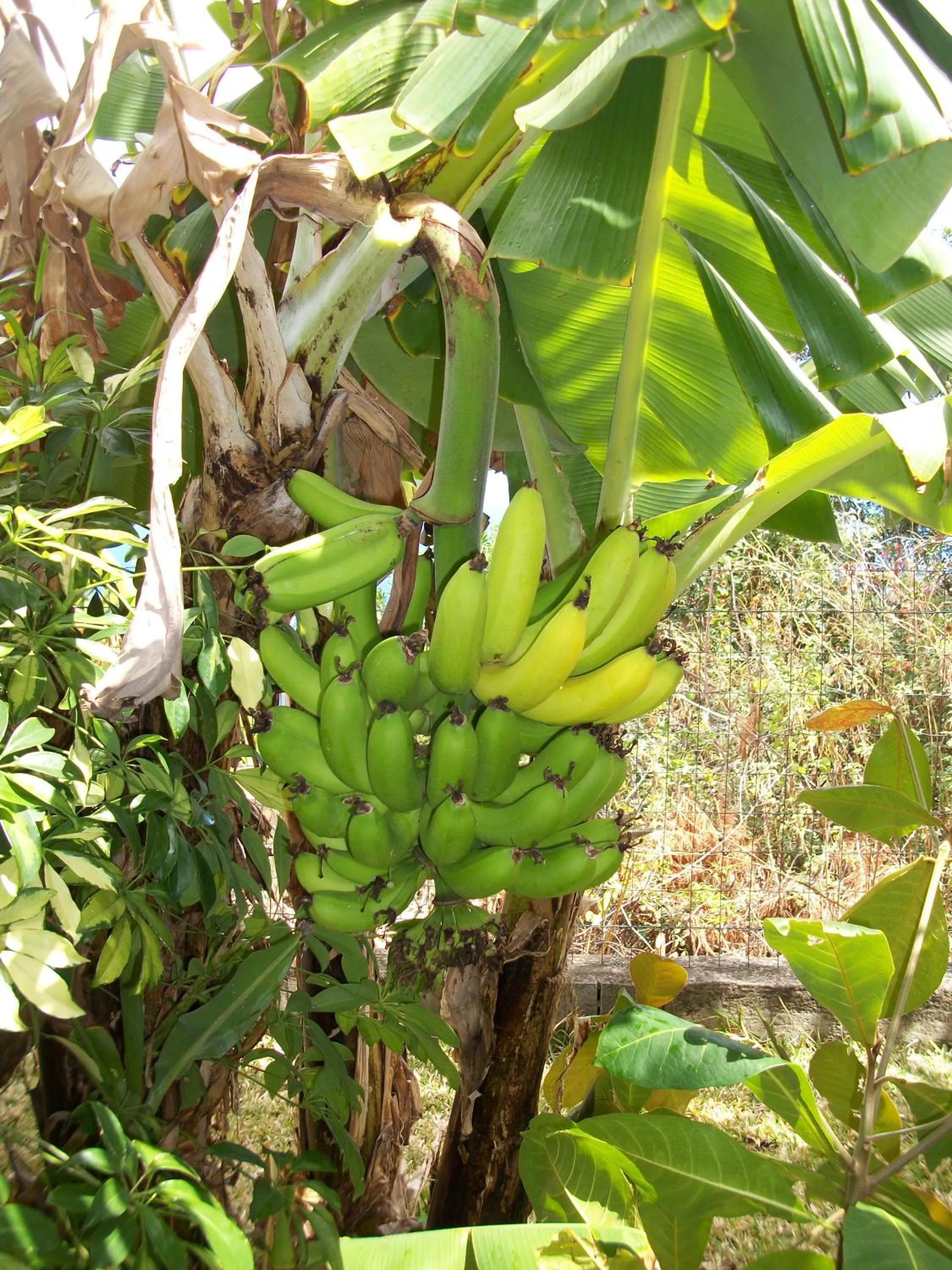 Garden in Le Chalet de la Fontaine Saint Leu