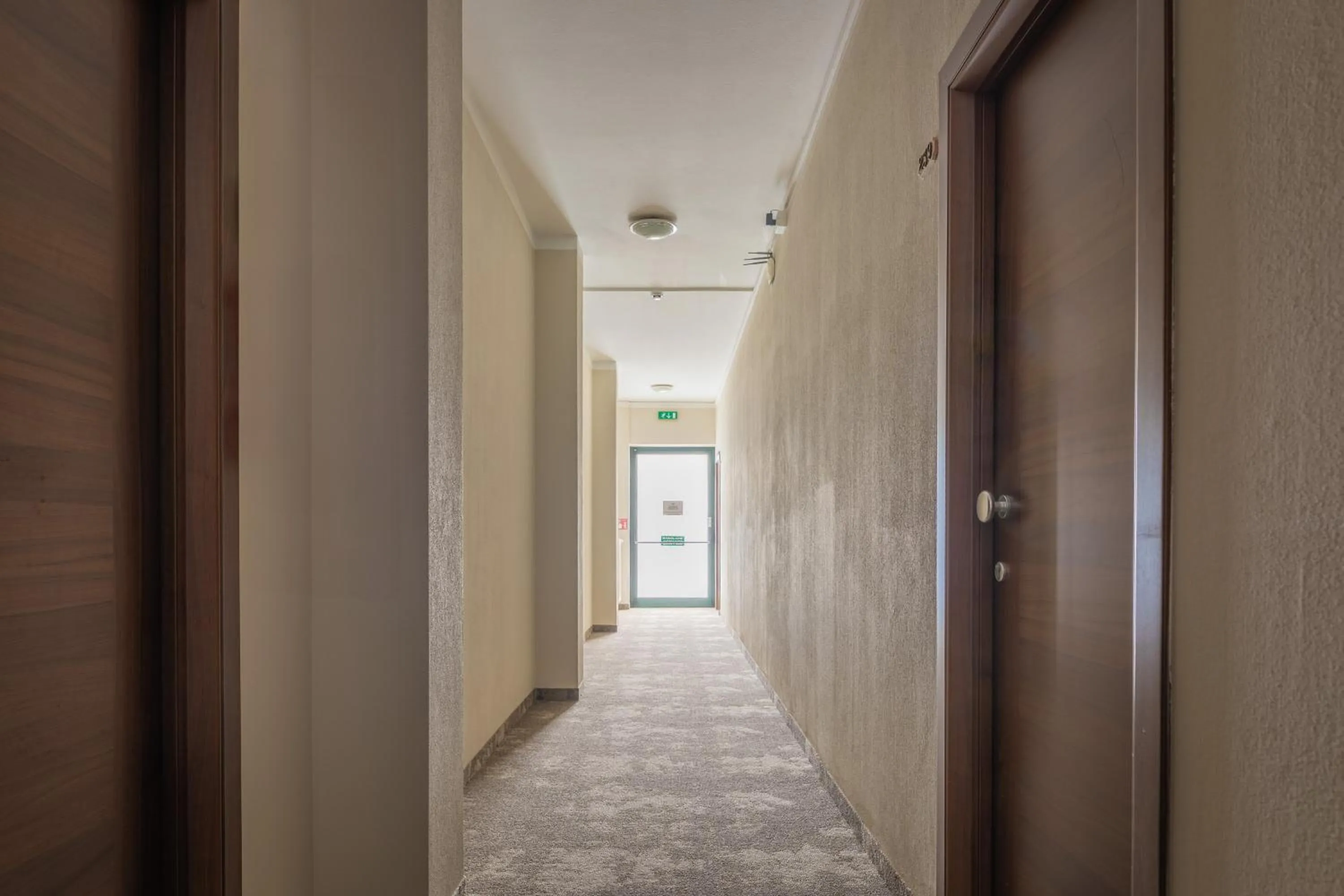 View (from property/room) in Hotel Cristallo