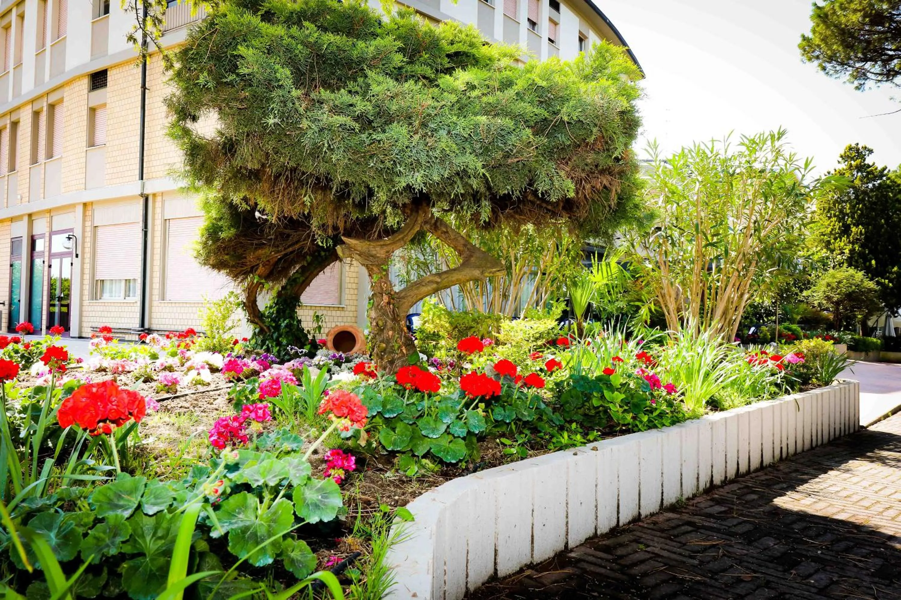 Facade/entrance in Hotel Cristallo