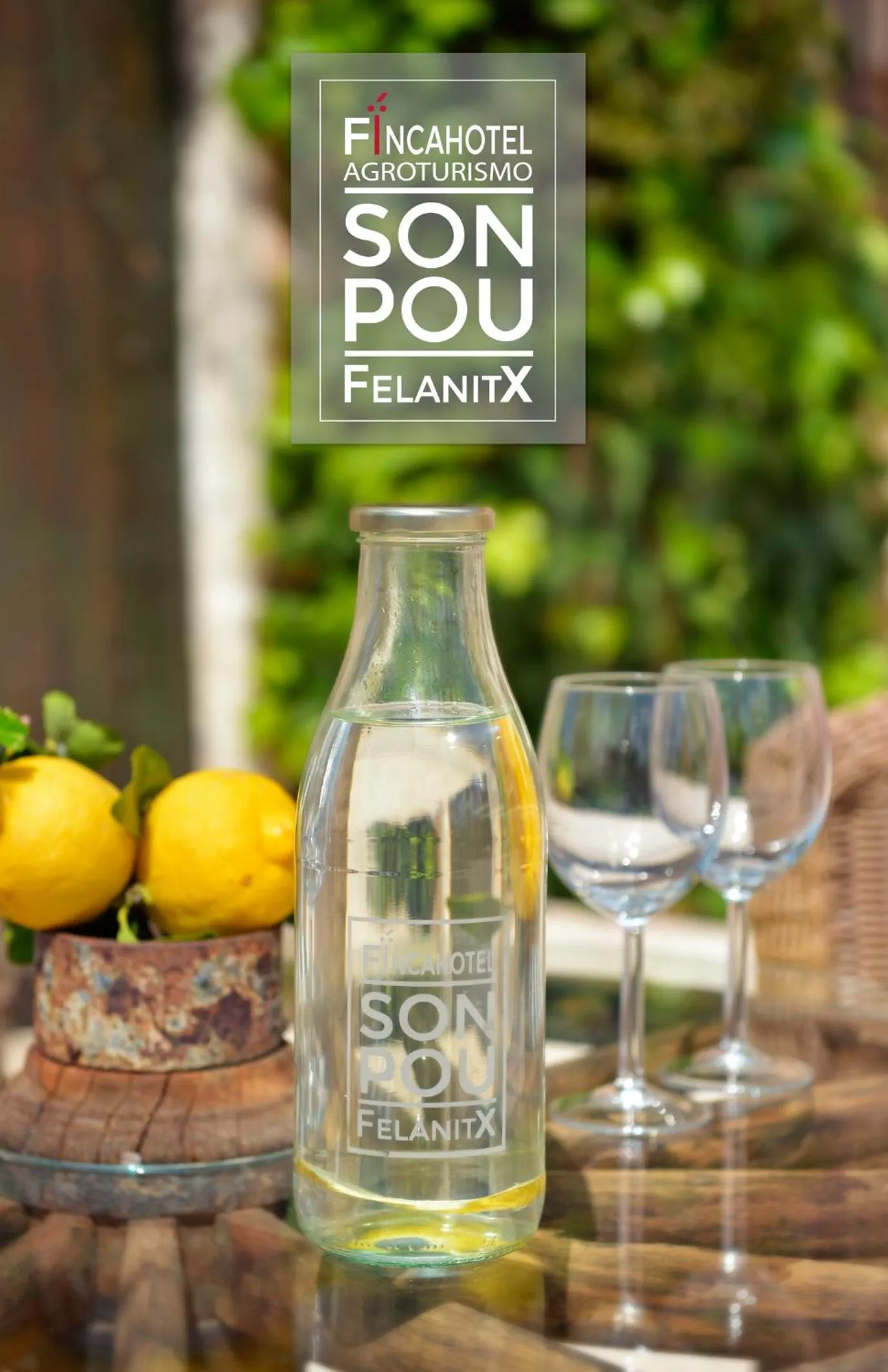 Decorative detail in Agroturismo Fincahotel Son Pou