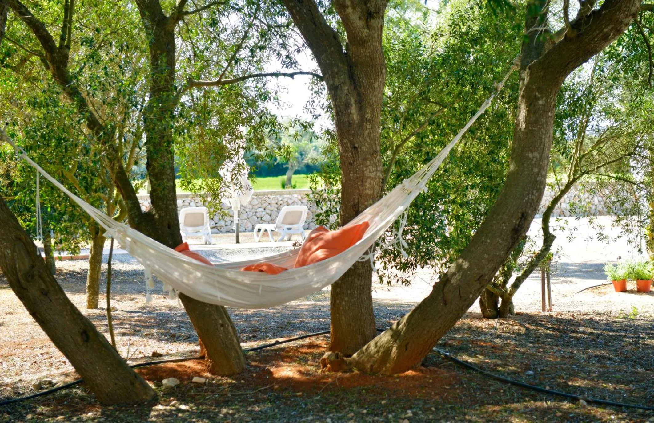 Garden in Agroturismo Fincahotel Son Pou