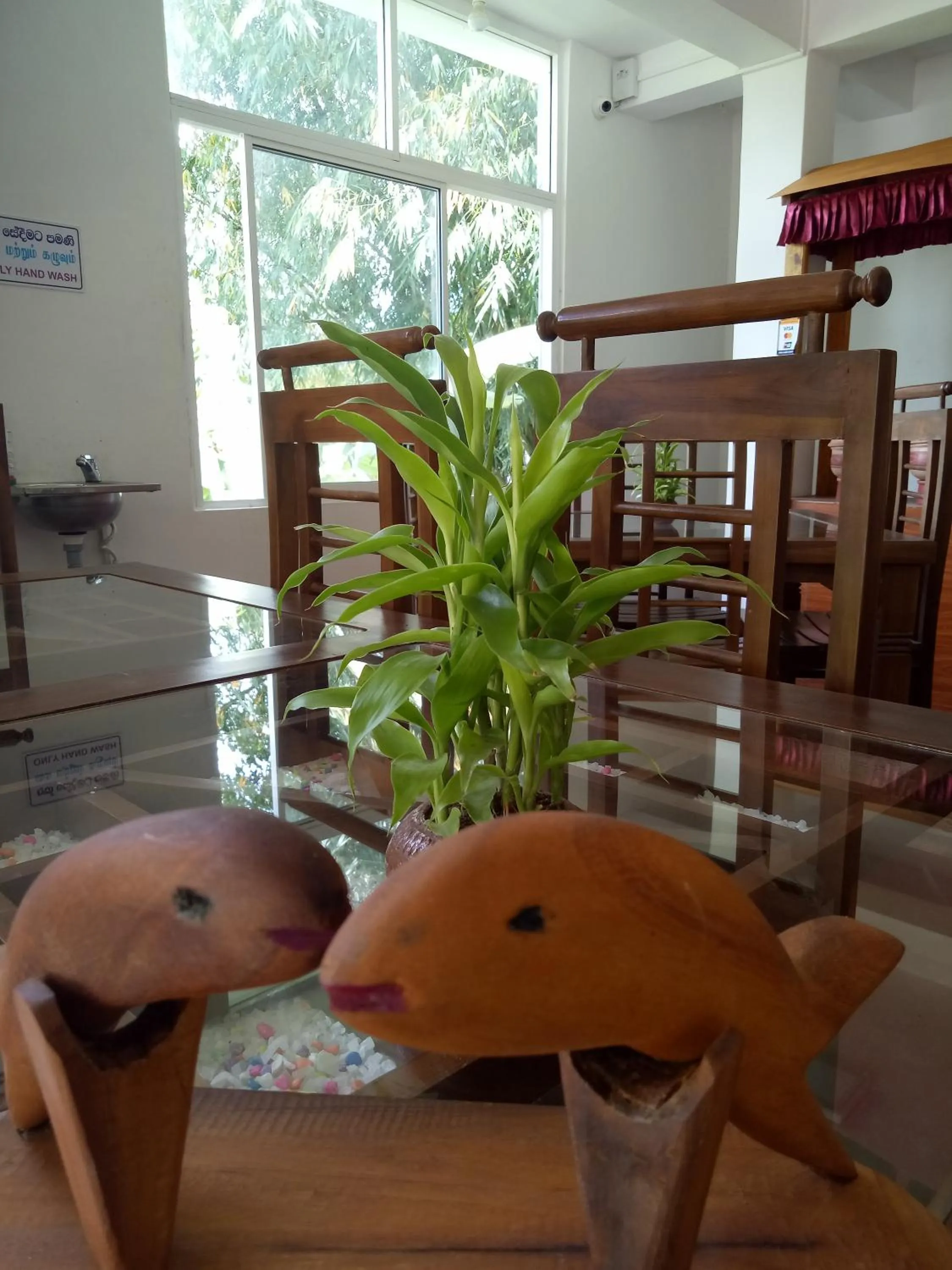 Ayos Hill Adam's Peak Free Shuttle