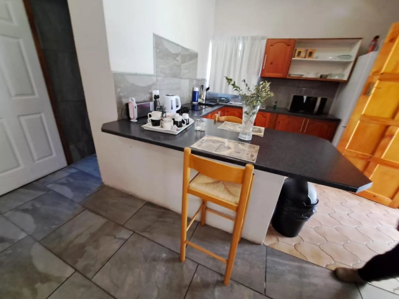 Kitchen or kitchenette in Altenburgh Accommodation - Apartments
