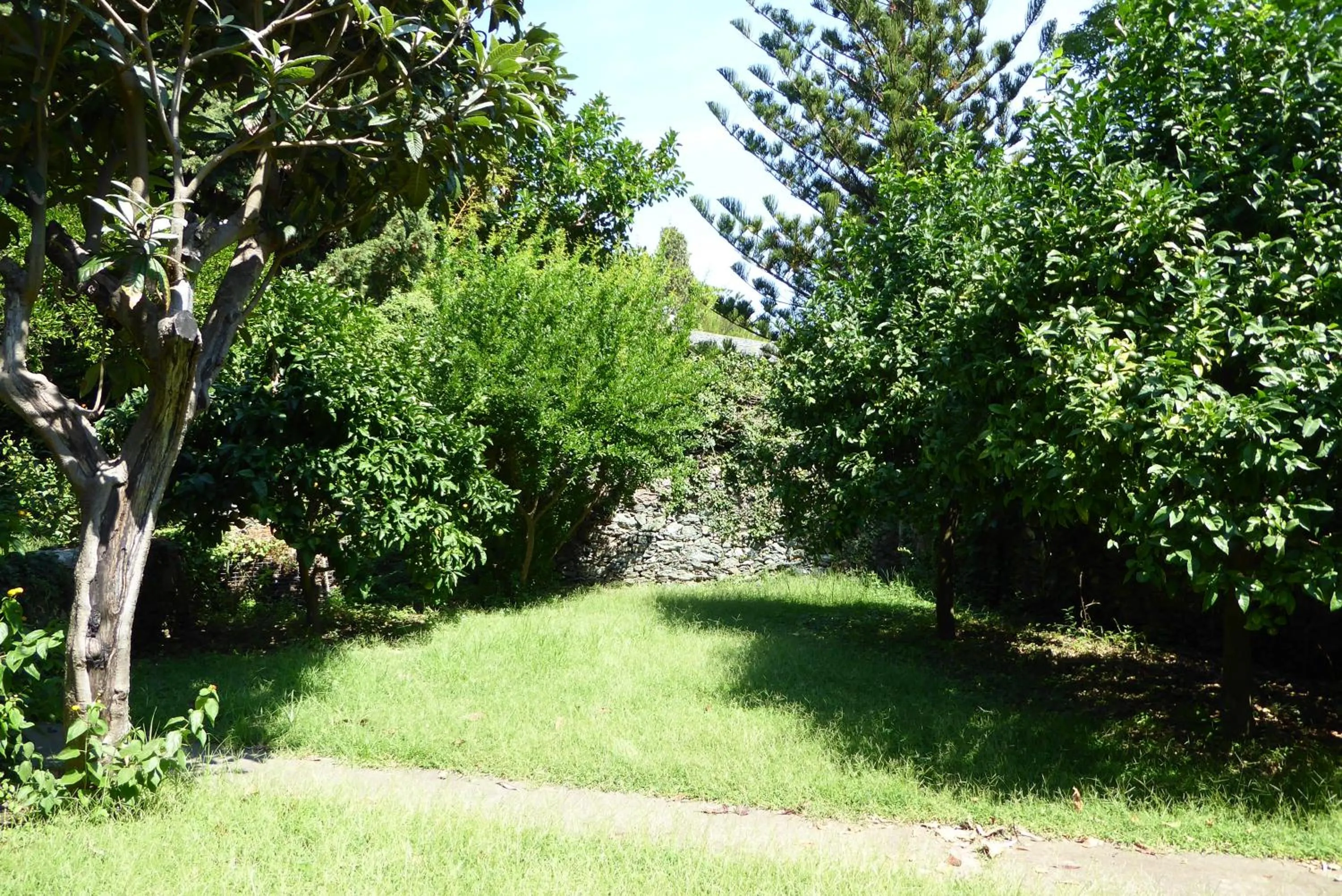 Garden in Hotel Cyrnea