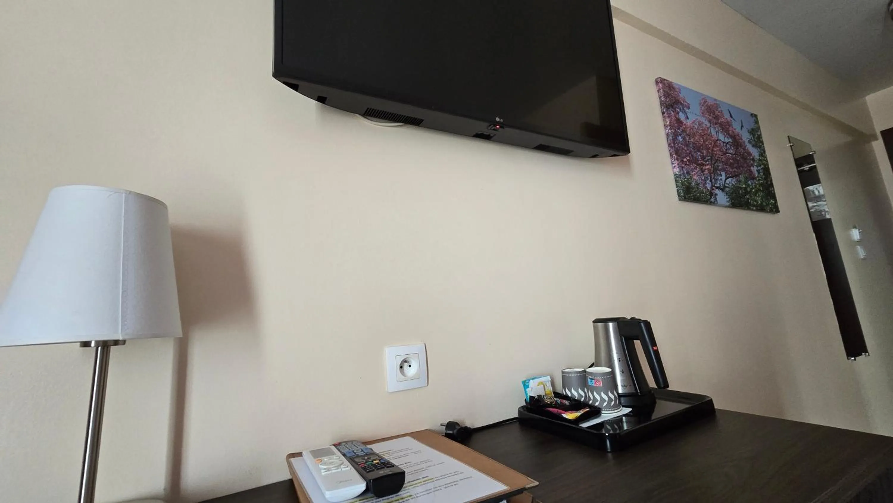 TV and multimedia in Central Hotel Cayenne