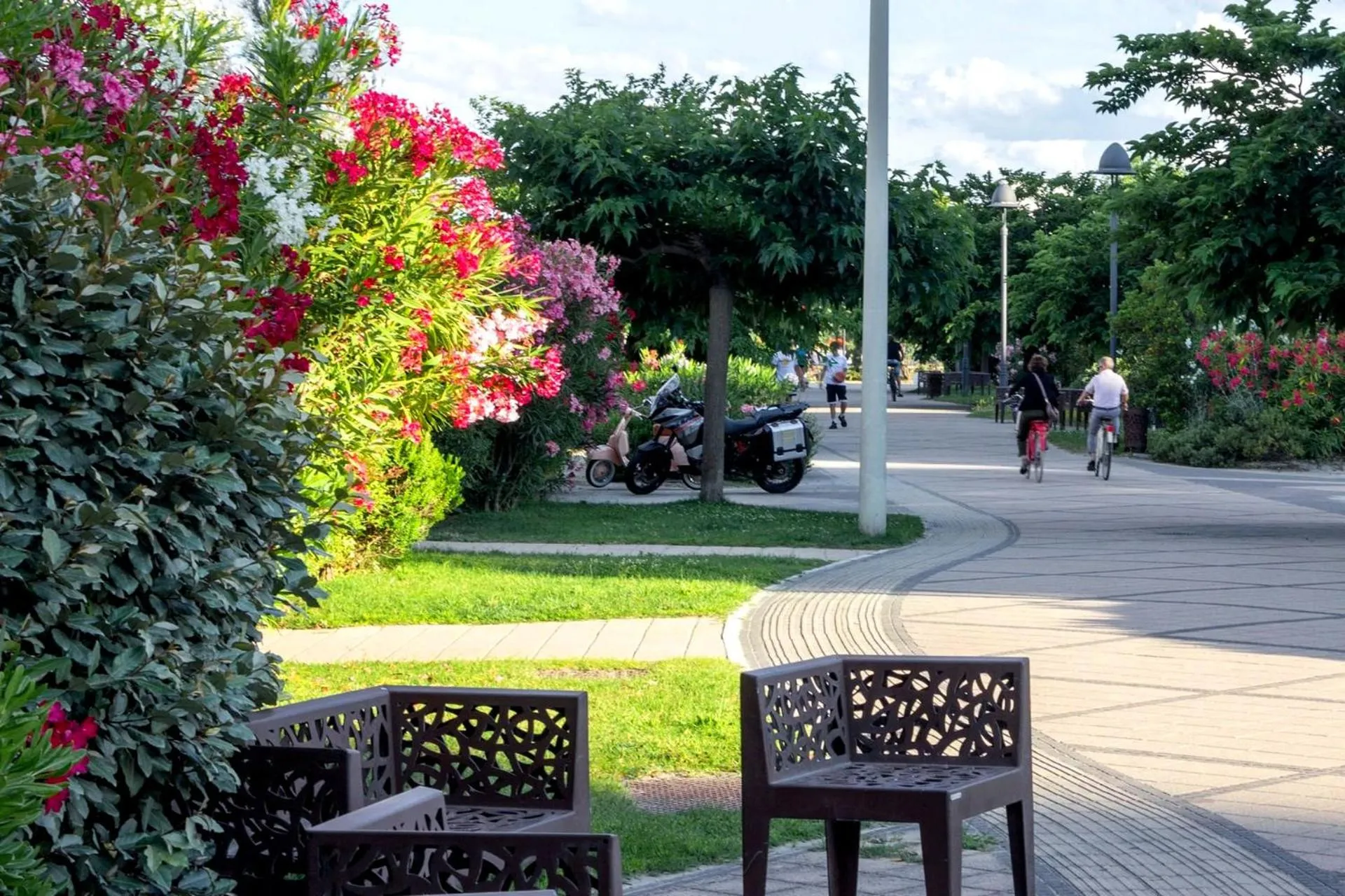 Natural landscape in Hotel Ariella