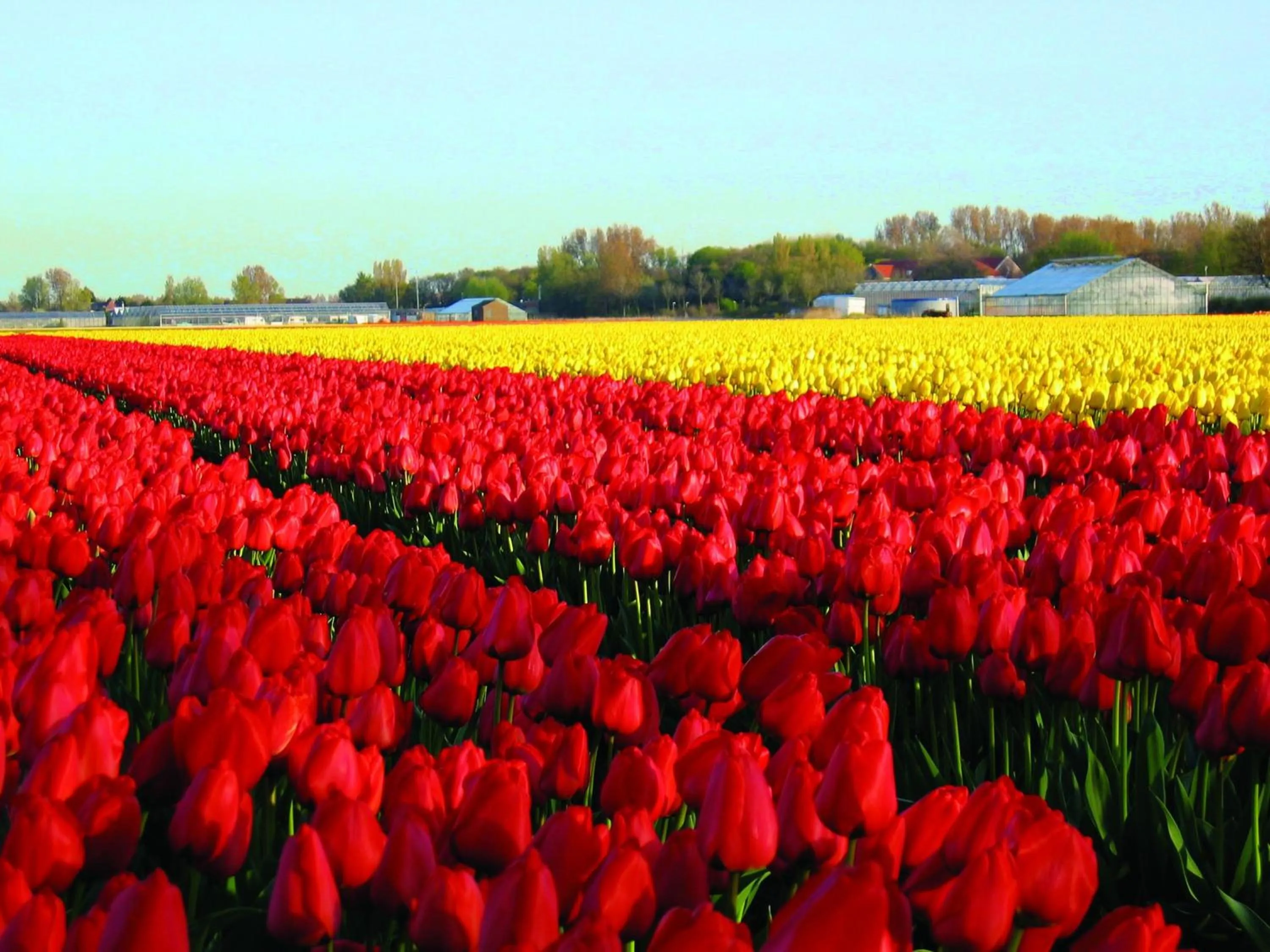 Area and facilities in Fletcher Hotel Restaurant De Witte Raaf