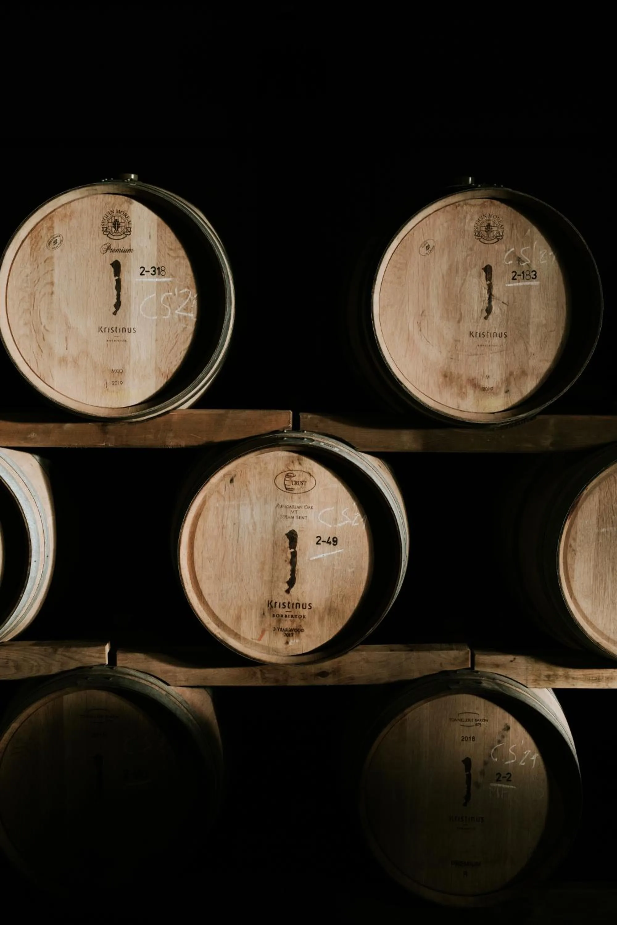 Property building in Kristinus Borbirtok