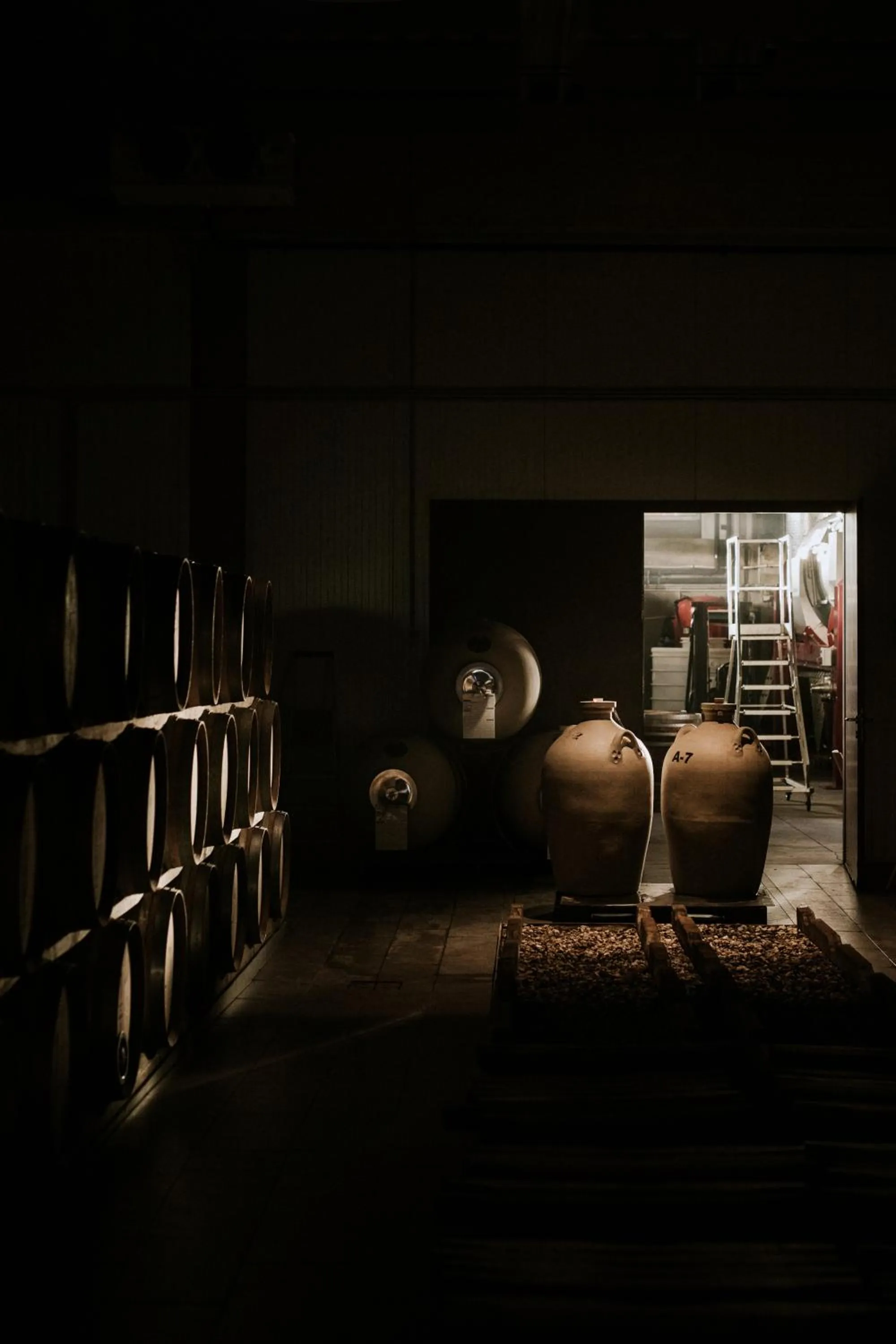 Property building in Kristinus Borbirtok