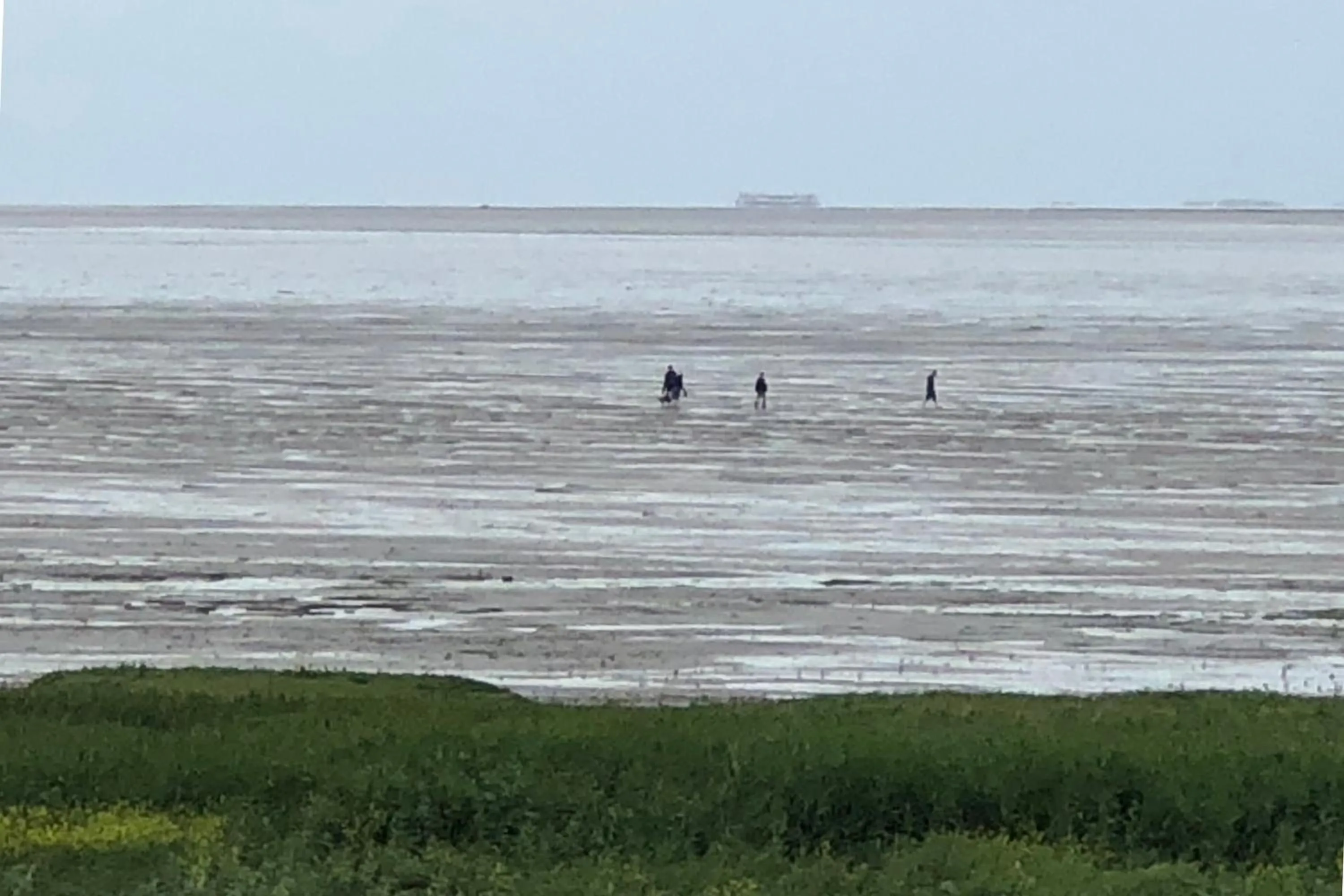 Activities in Het Huis van de Wadden