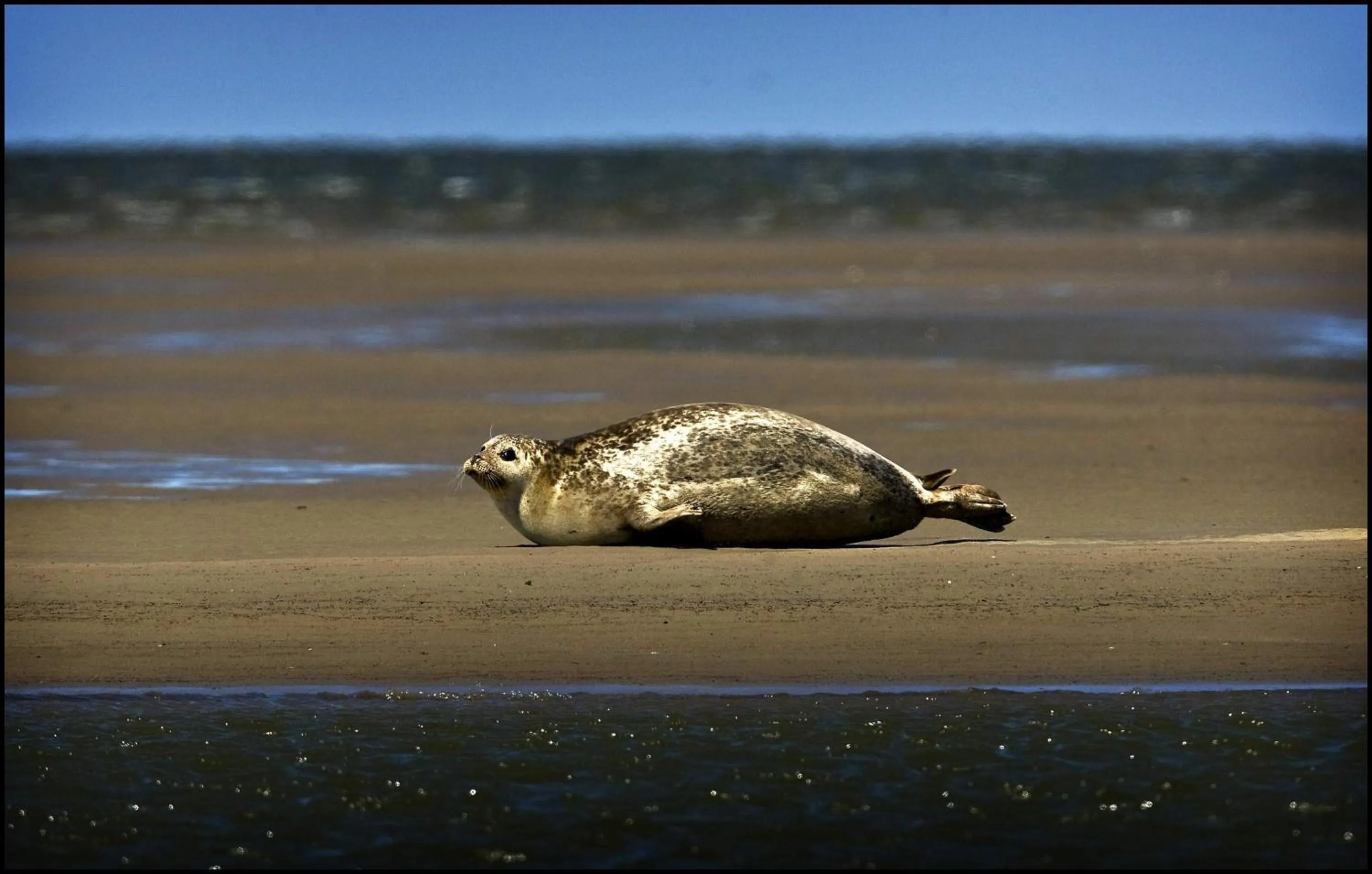 Activities in Het Huis van de Wadden