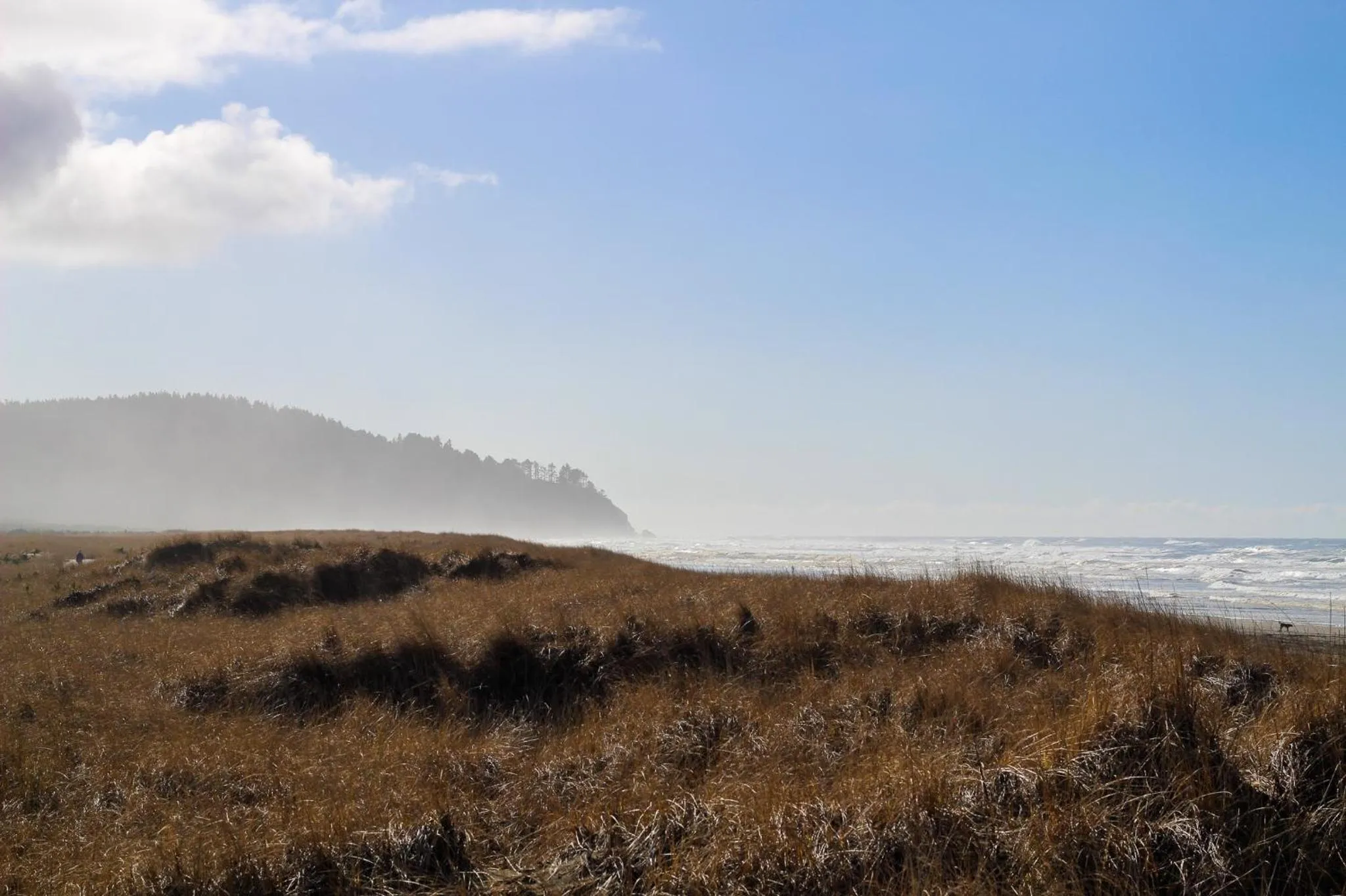 Beach in Inn at Discovery Coast