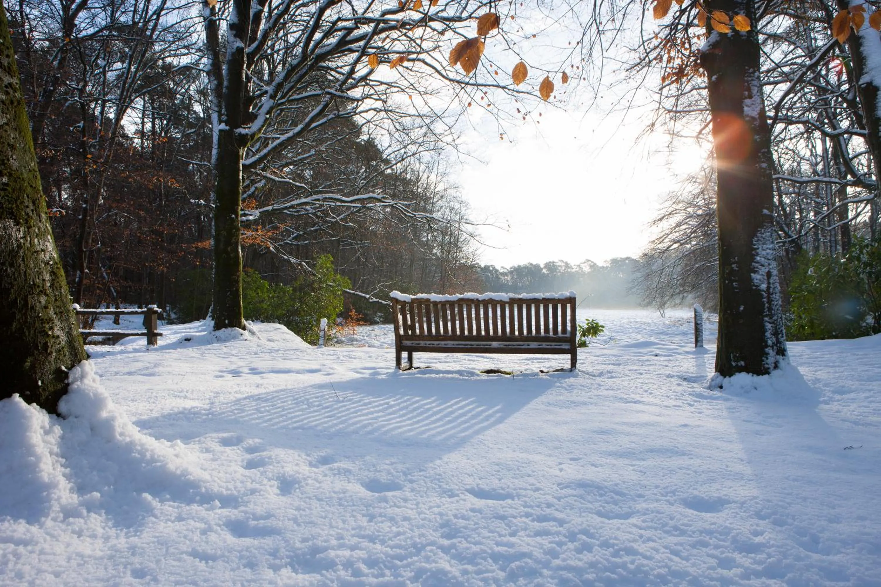 Natural landscape in Relais & Chateaux Hotel Landgoed Het Roode Koper