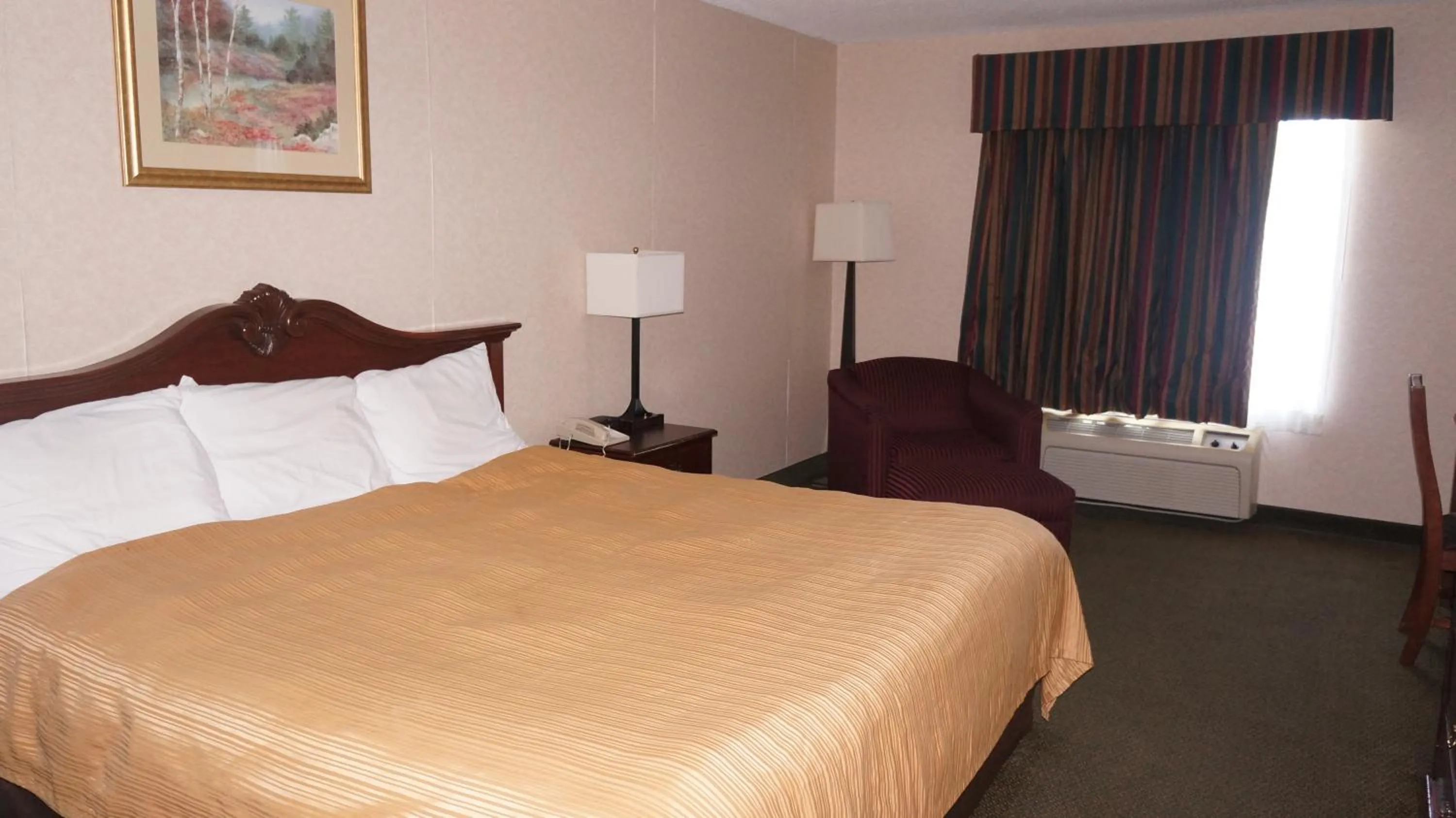 Bed in Scotland Neck Inn