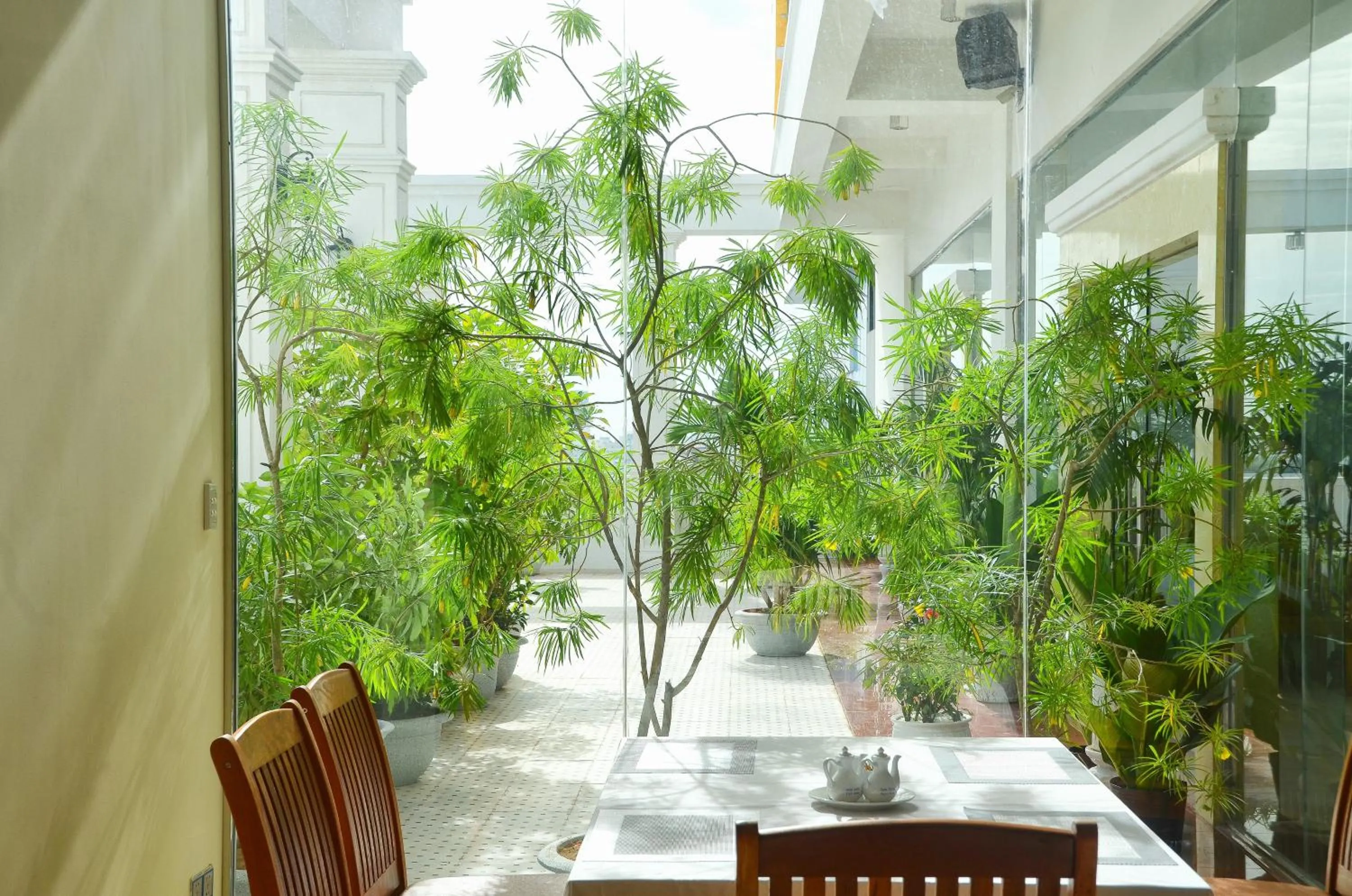 Restaurant/places to eat in Centre Hotel