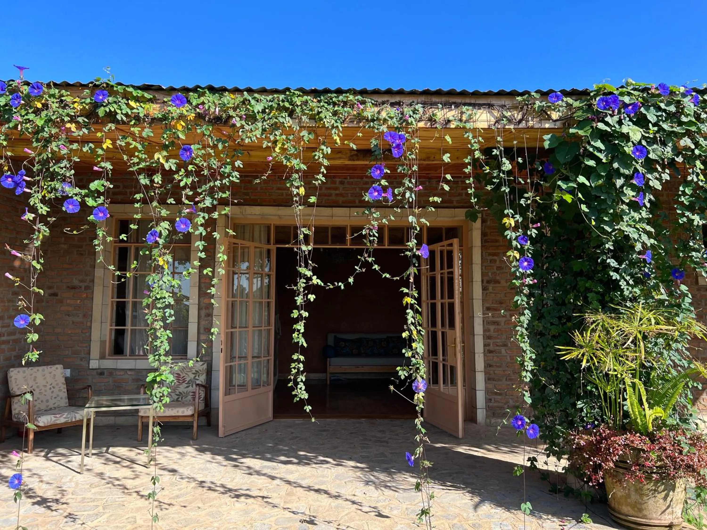 Garden view in La Locanda