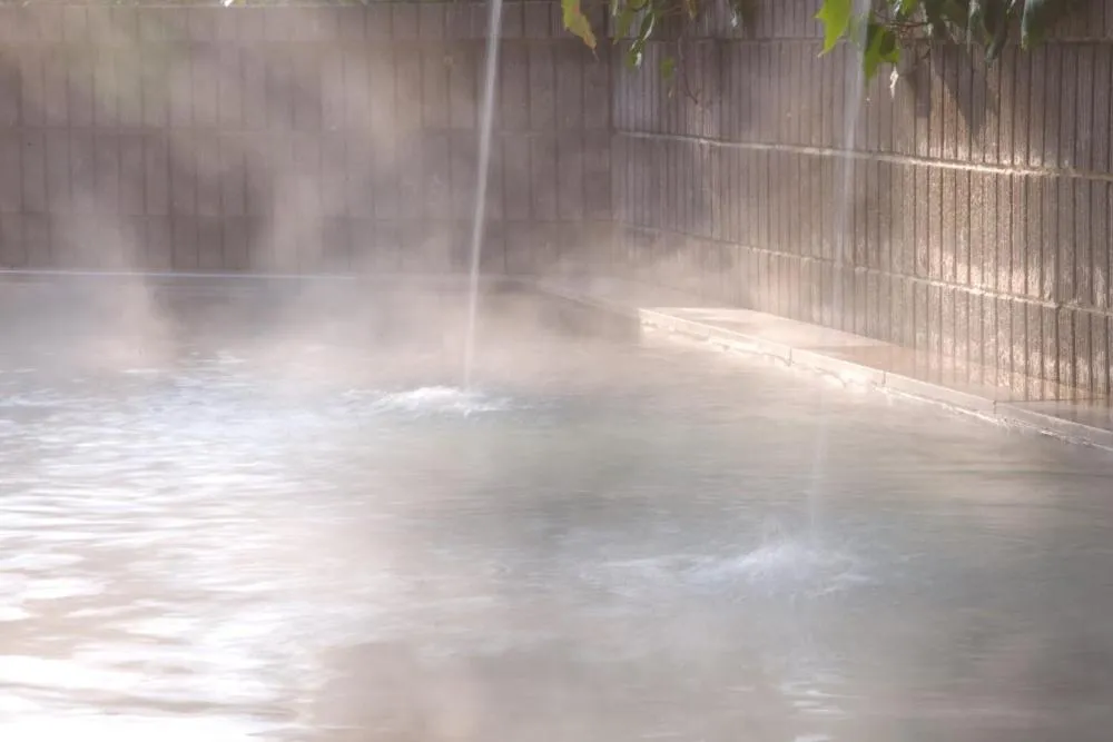 Hot Spring Bath in Hotel Sekia