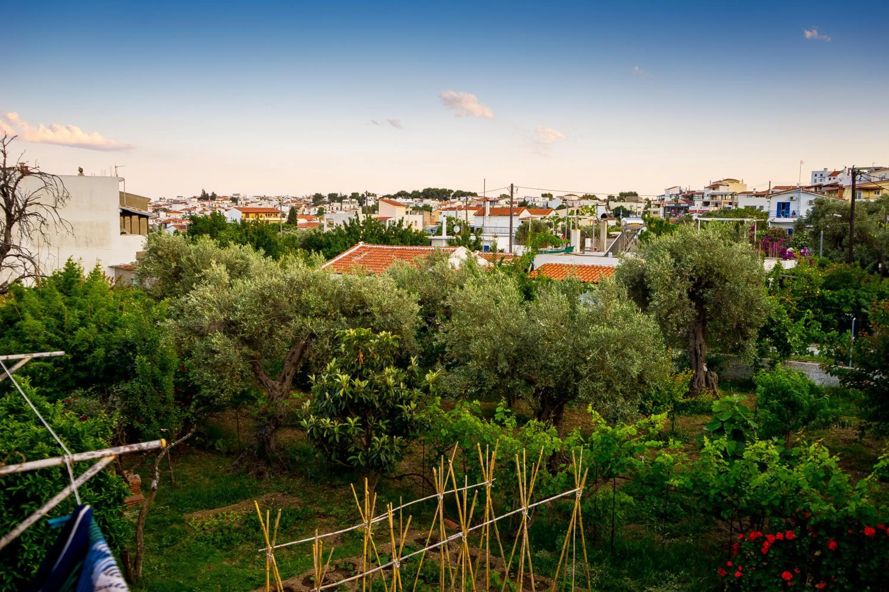 Bird's eye view in Act Art Skiathos