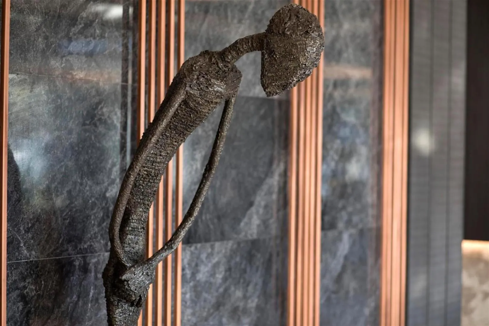 Pets in Wish More Hotel Istanbul