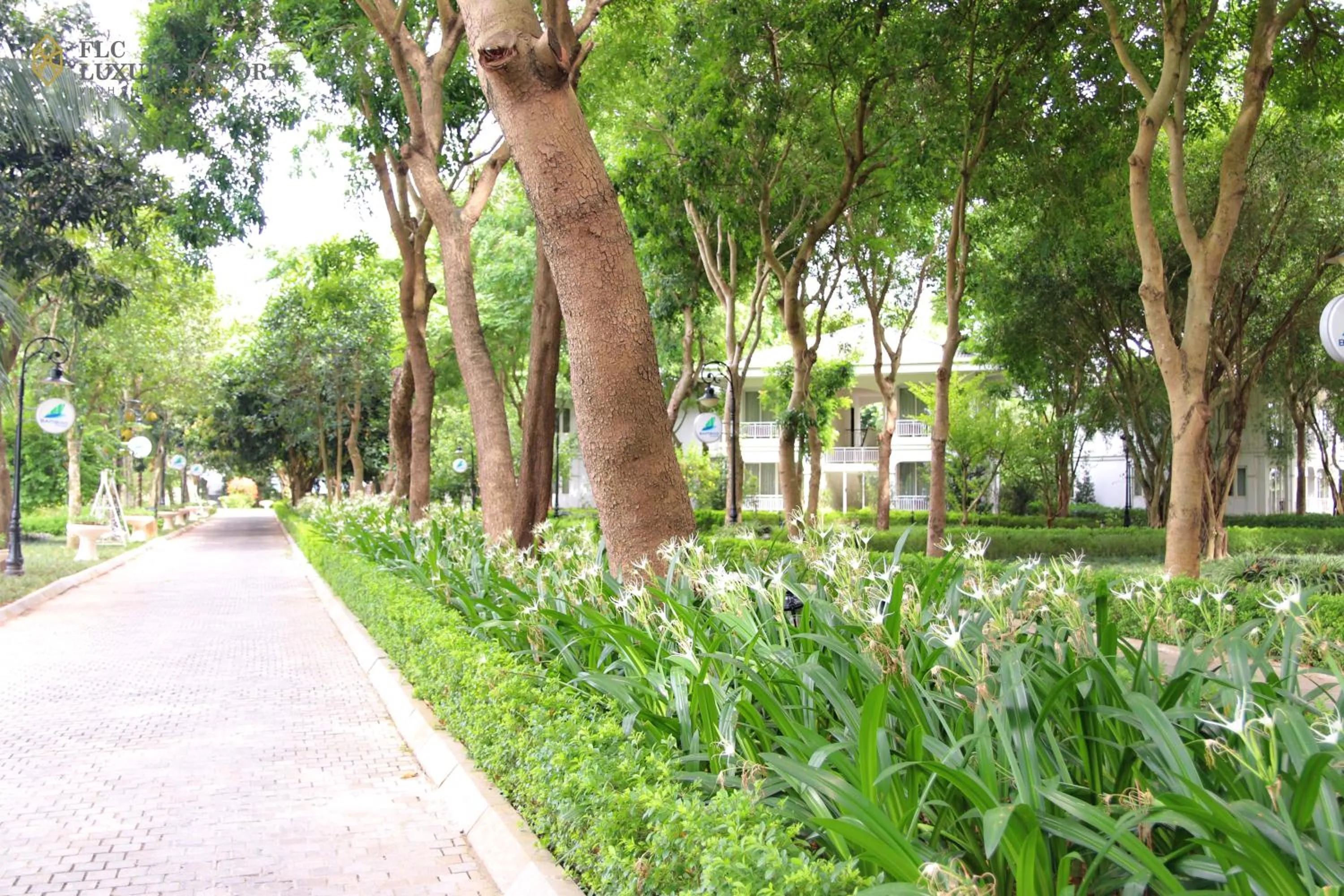 Off site in FLC Luxury Resort Vinh Phuc