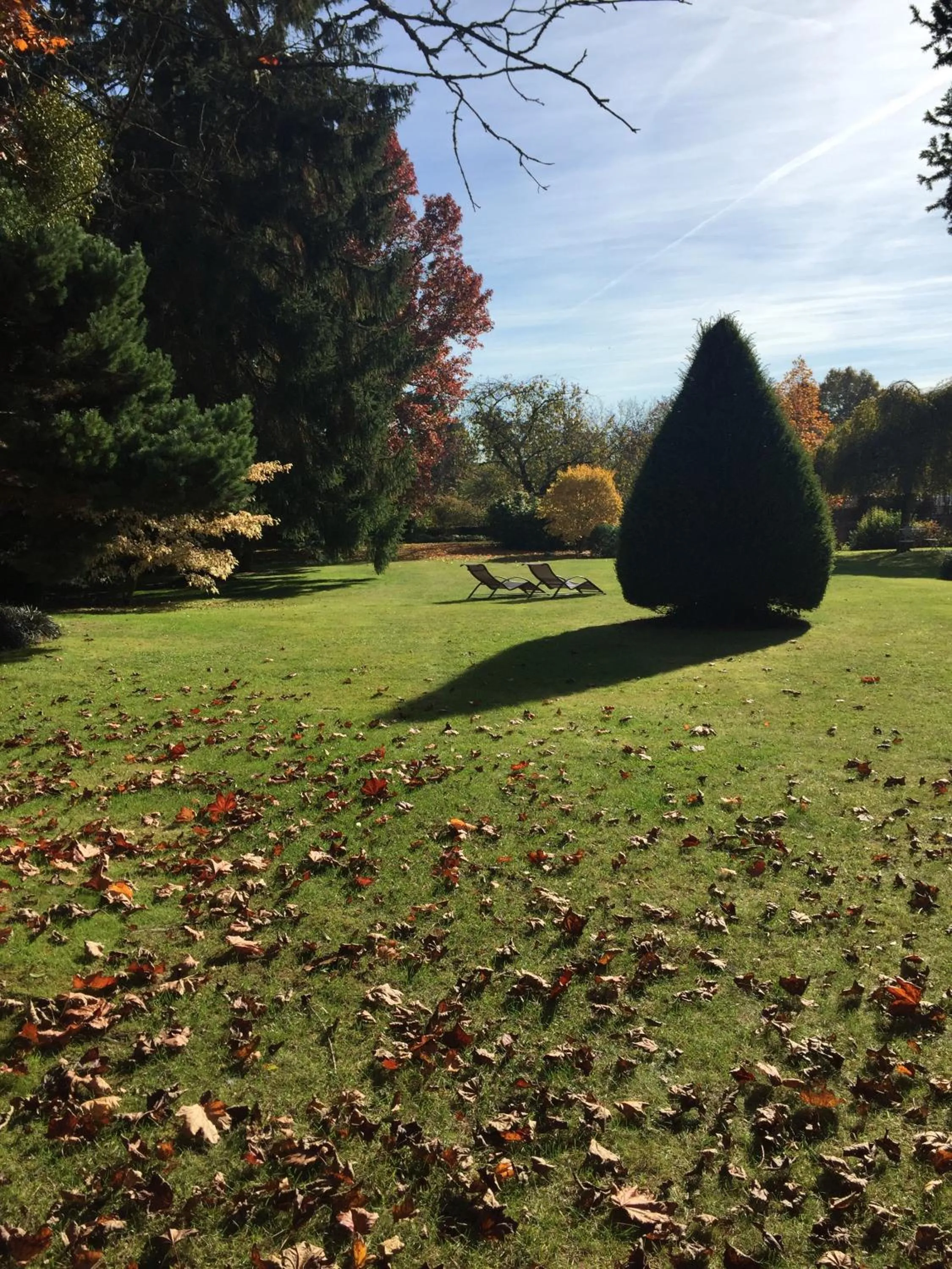 Garden in Le Puits D'Angle
