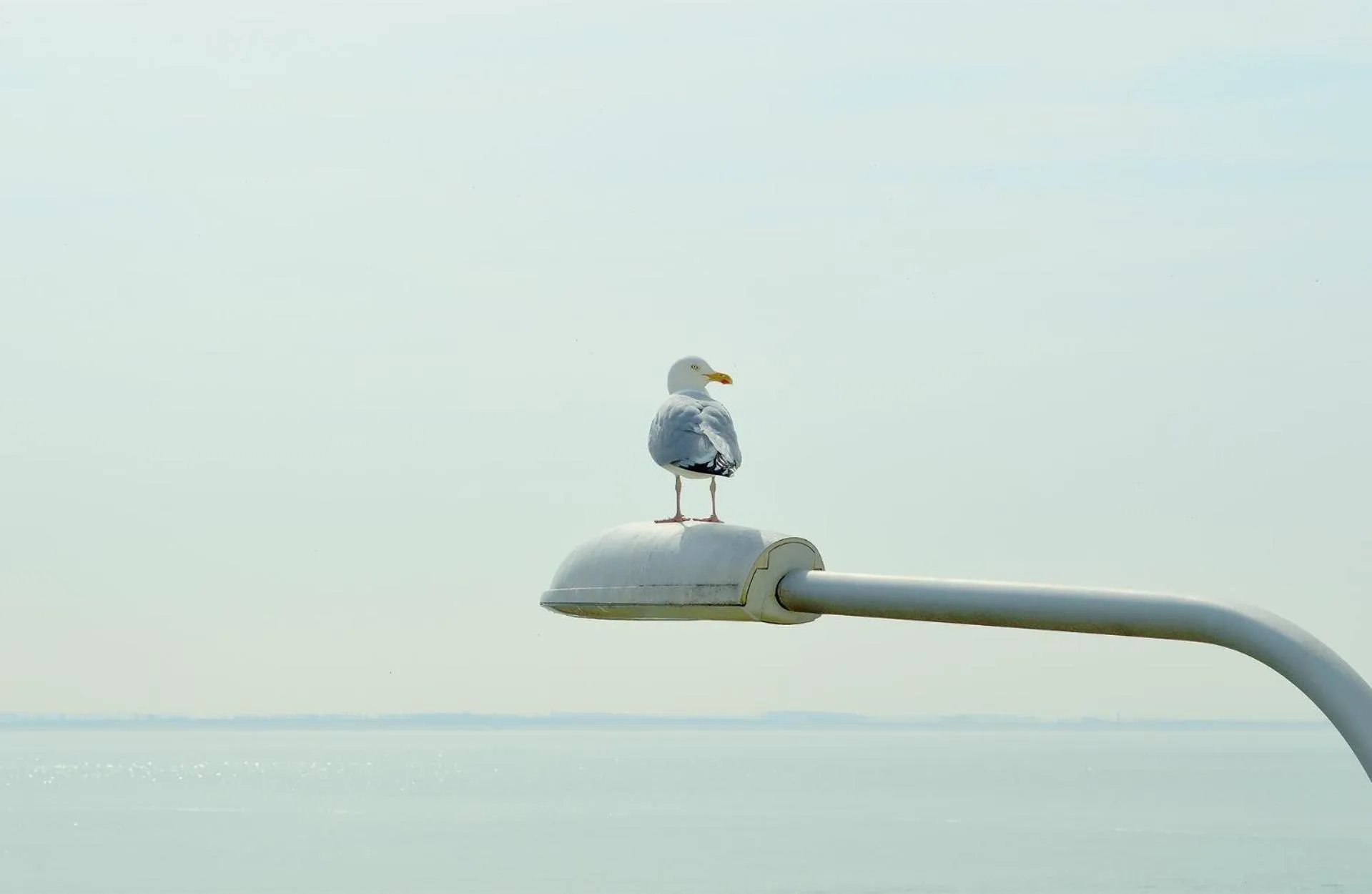 Nearby landmark in Belgische Loodsensociëteit