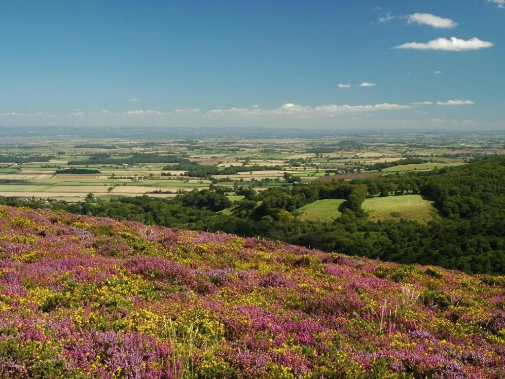 Notley Arms Inn Exmoor National Park