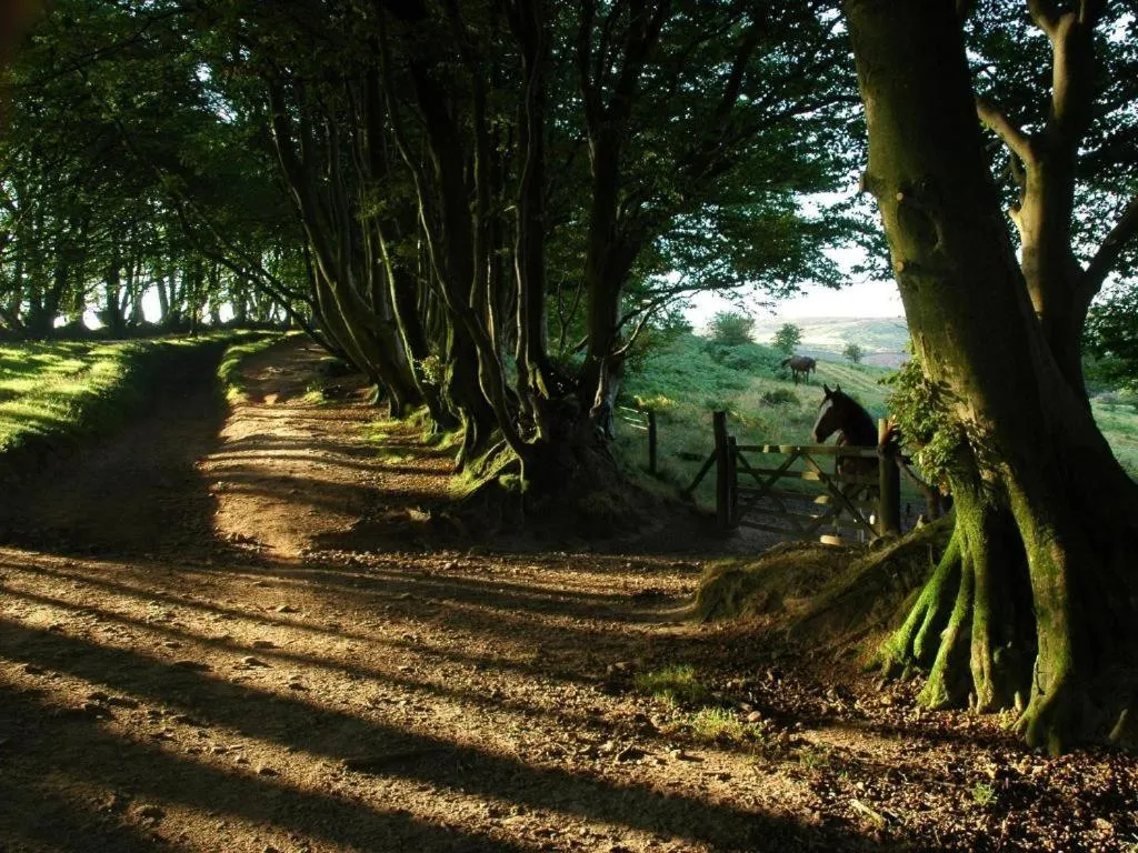 Notley Arms Inn Exmoor National Park