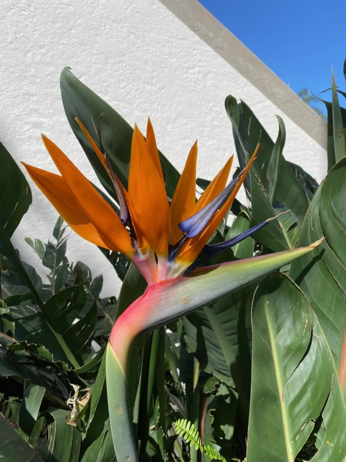 Property building in Oxford Lodge Vryheid