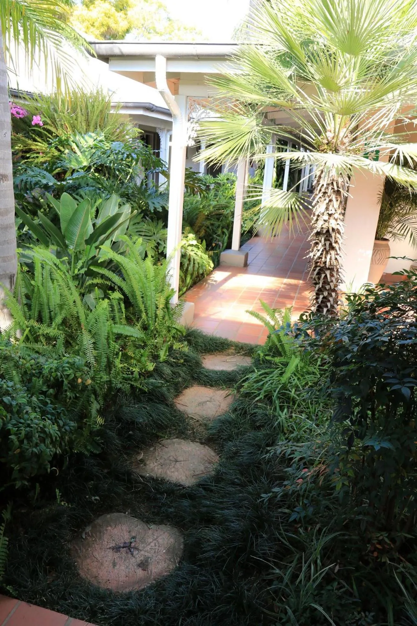 Garden in Oxford Lodge Vryheid