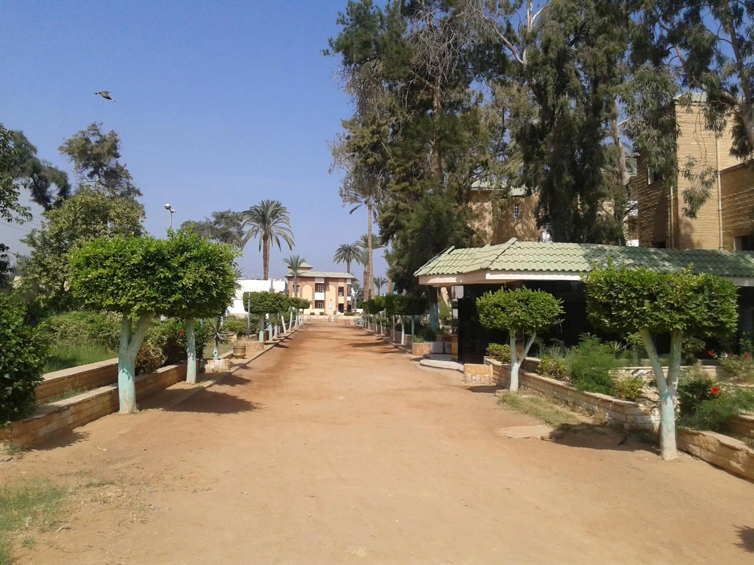 Fanara Apartments Armed Forces