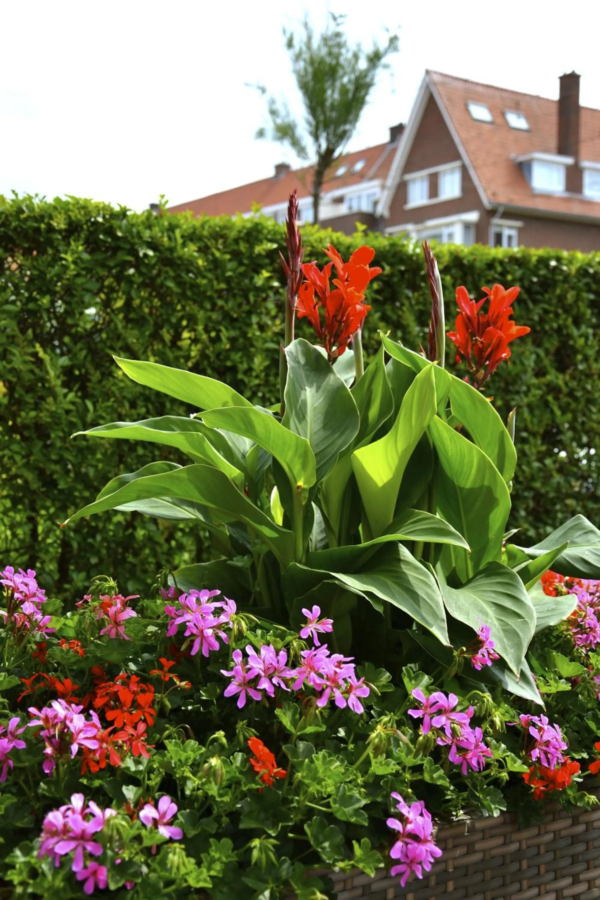 Balcony/Terrace in Hotel De Stern