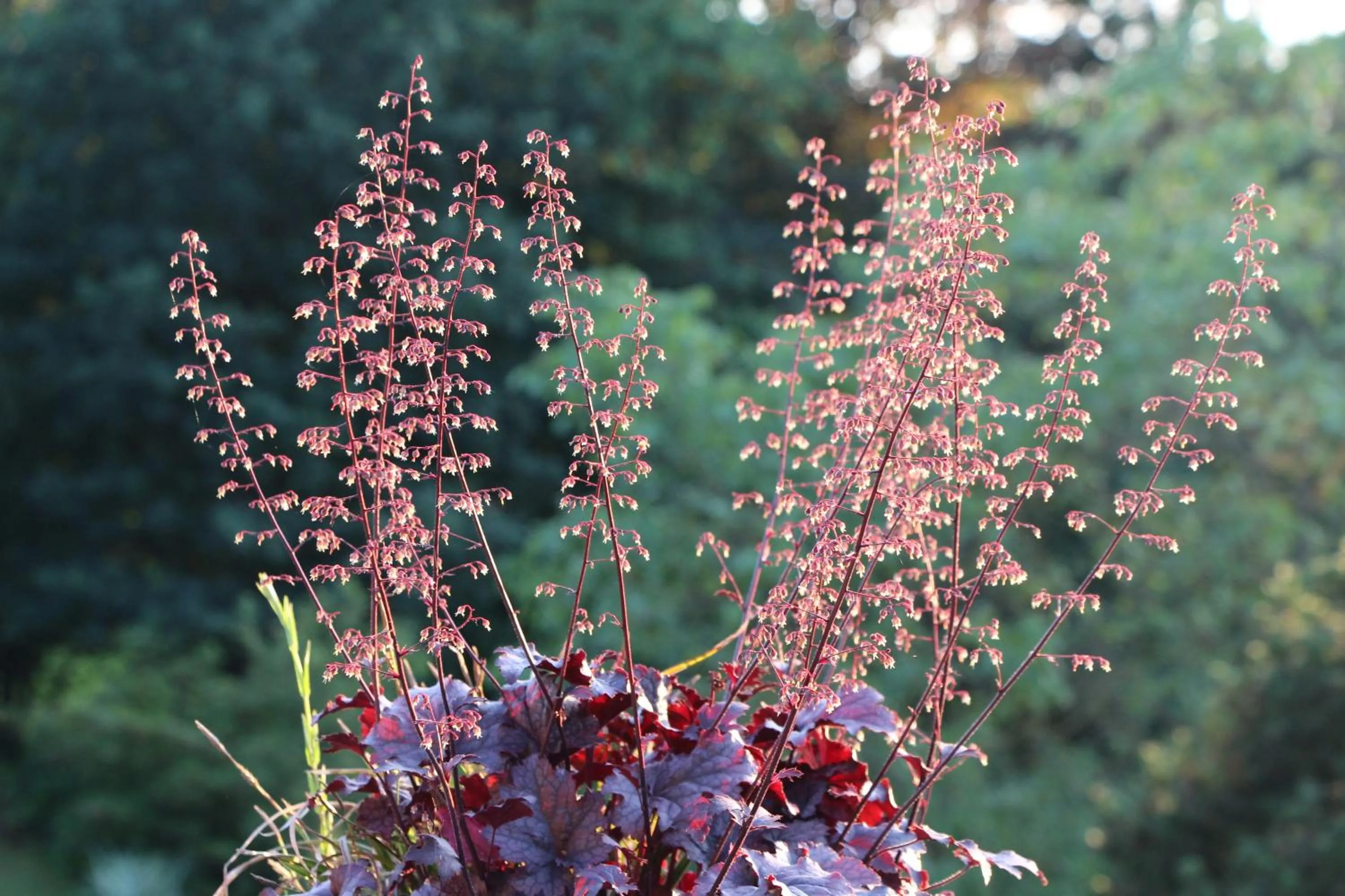 Decorative detail in Chambre d'hôtes CitaBel'Air