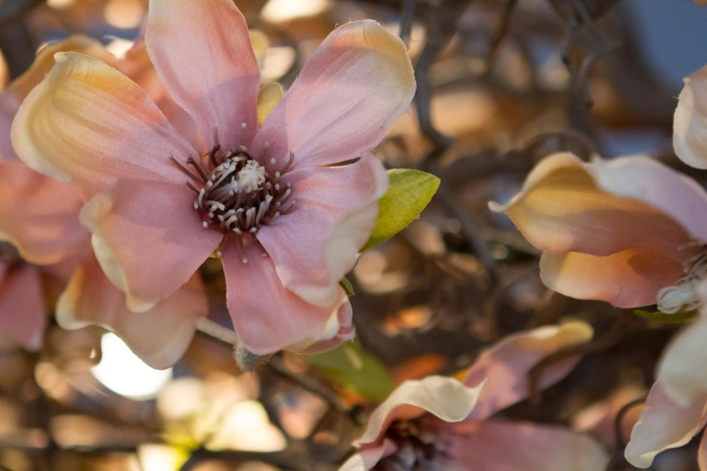 Lobby or reception in Good Seasons Hotel Den Bosch