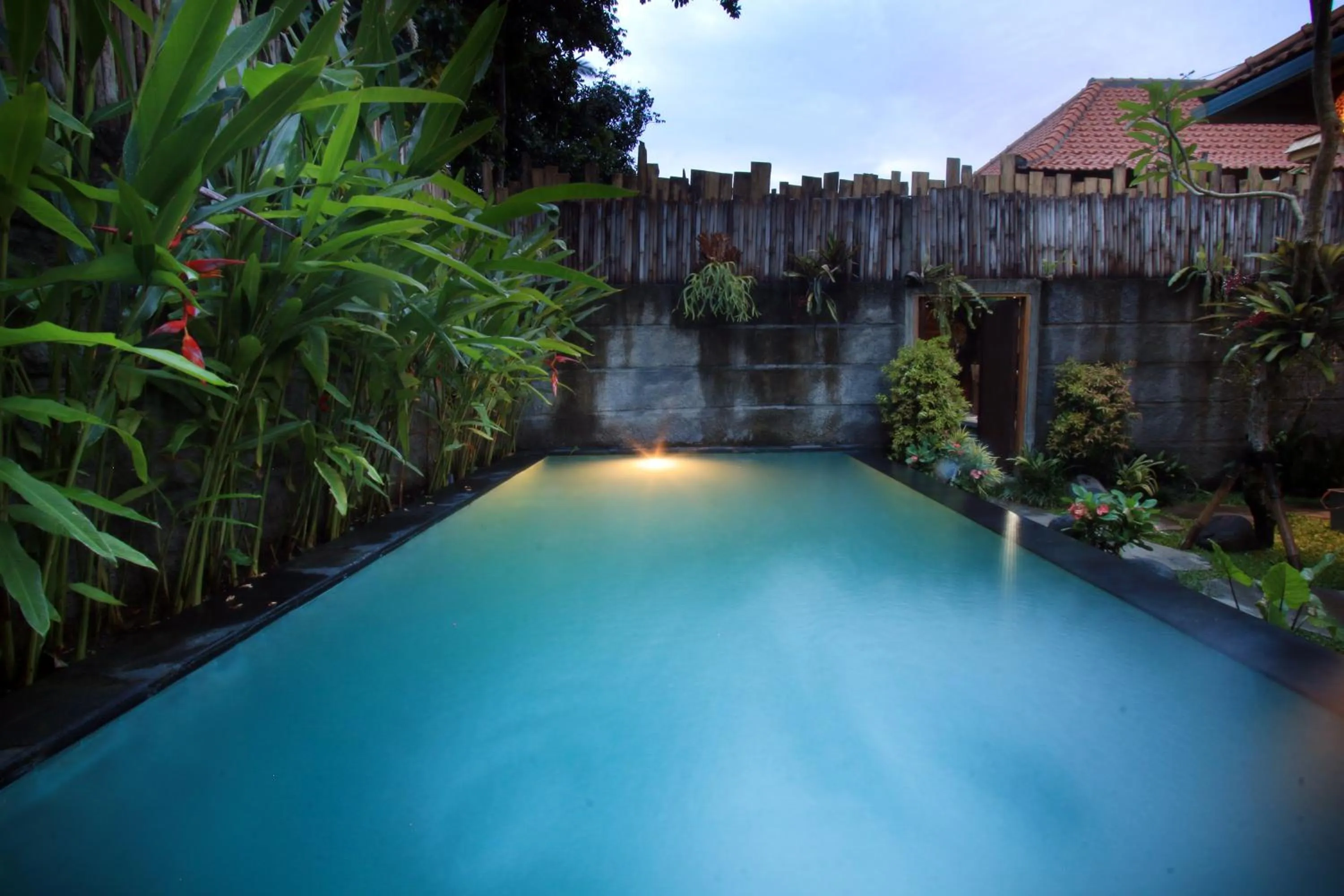 Pool view in The Forest Villa Ubud