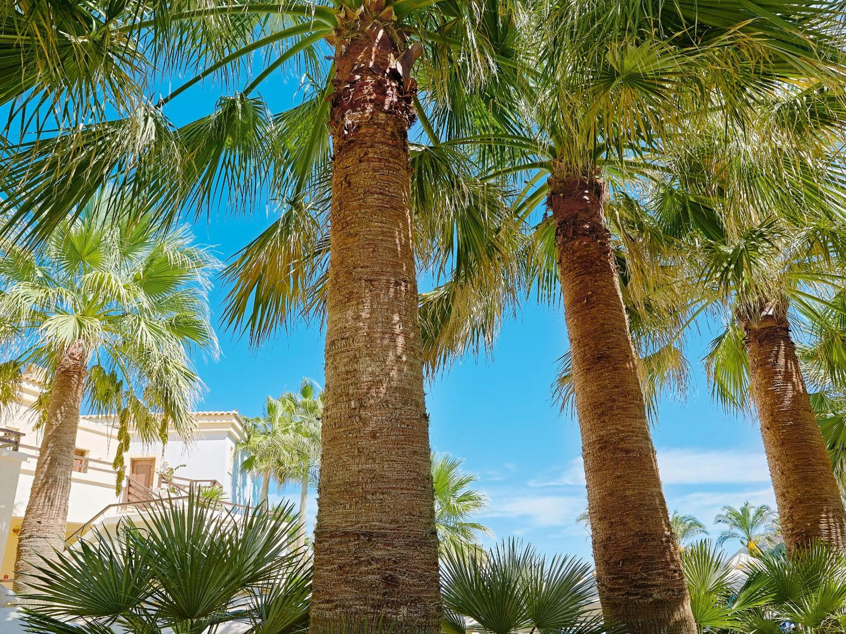 Garden view in Grecotel Marine Palace & Aqua Park