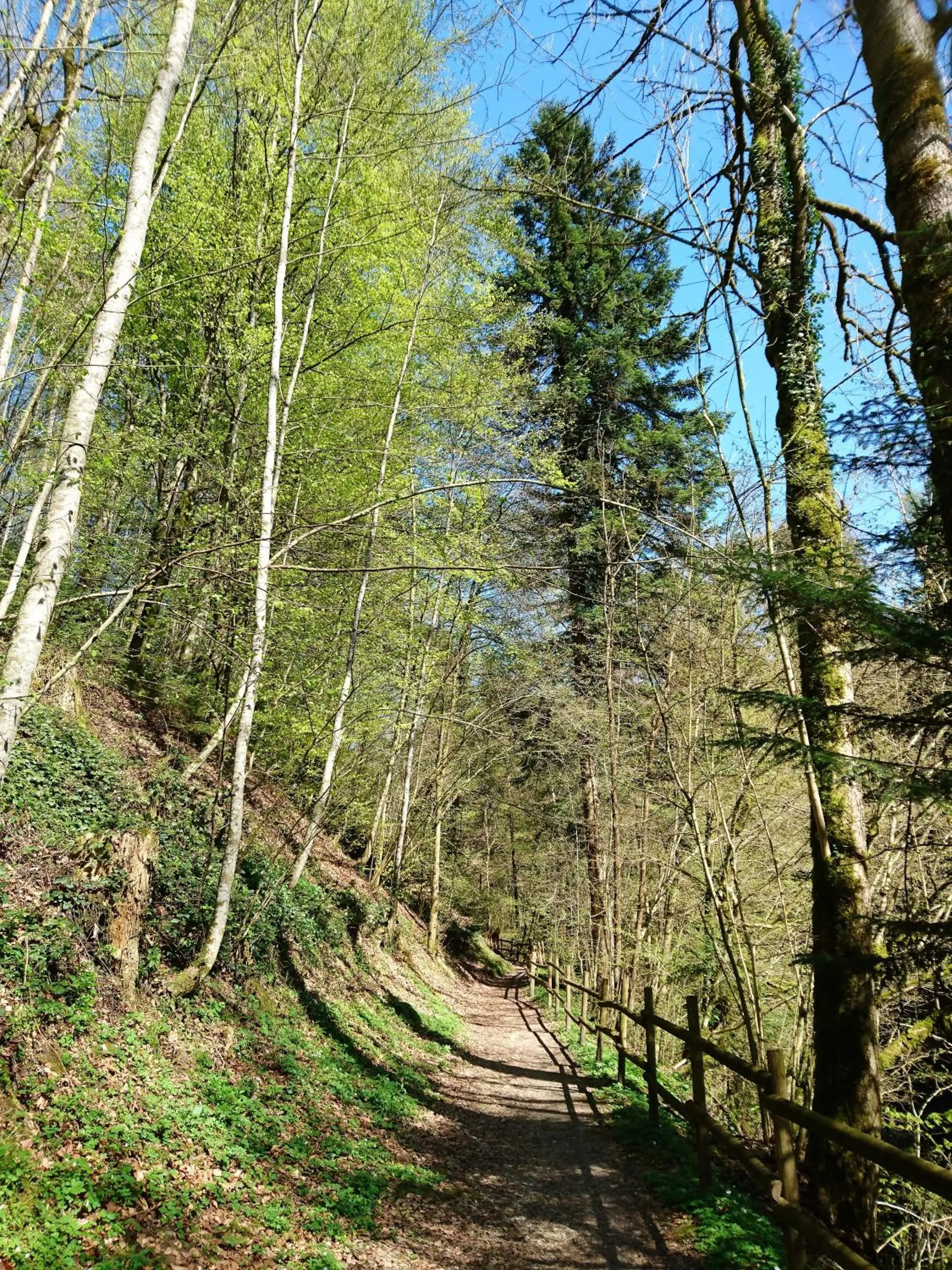 Nearby landmark in Gasthaus zum Ochsen