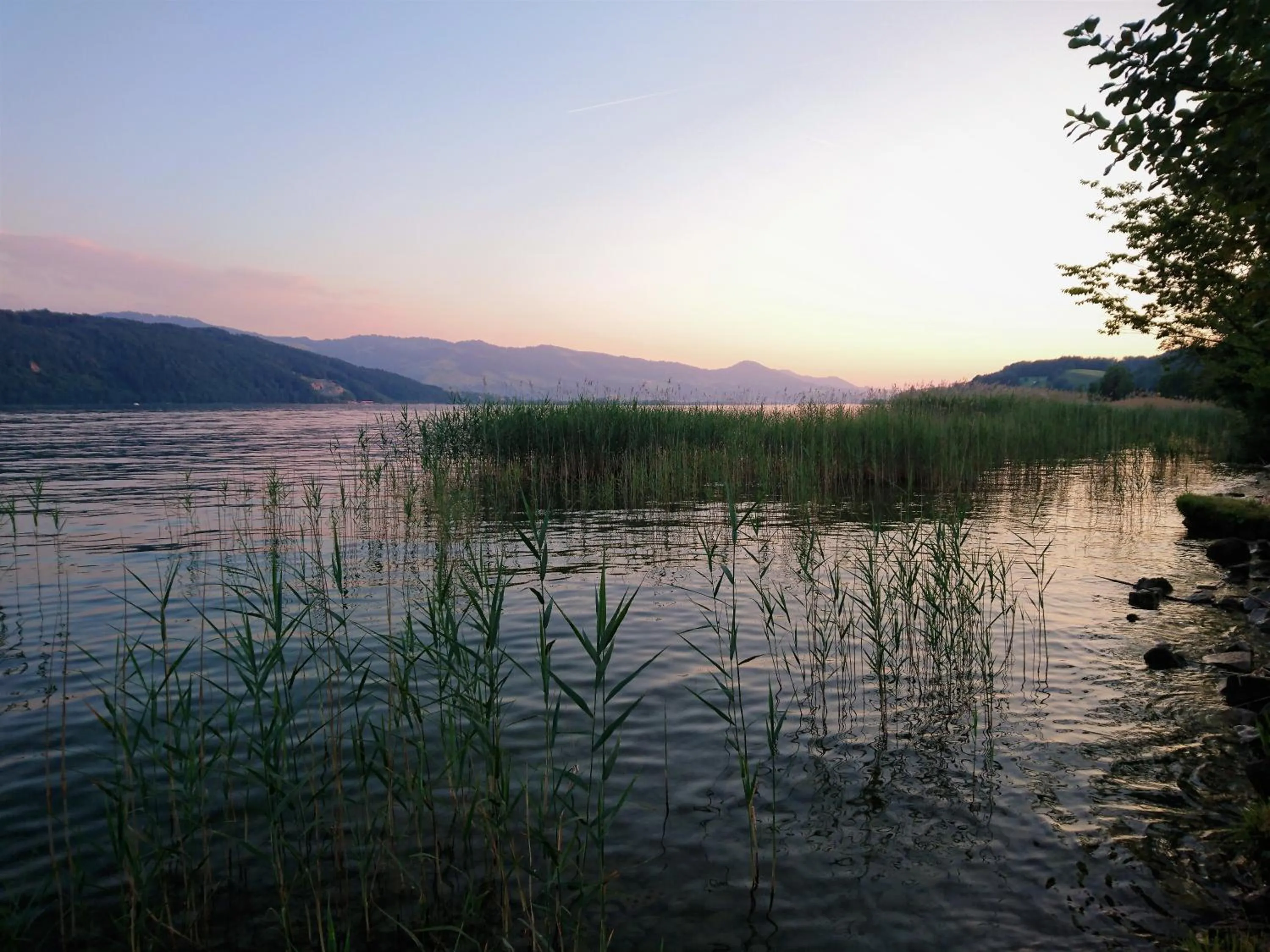 Beach in Gasthaus zum Ochsen