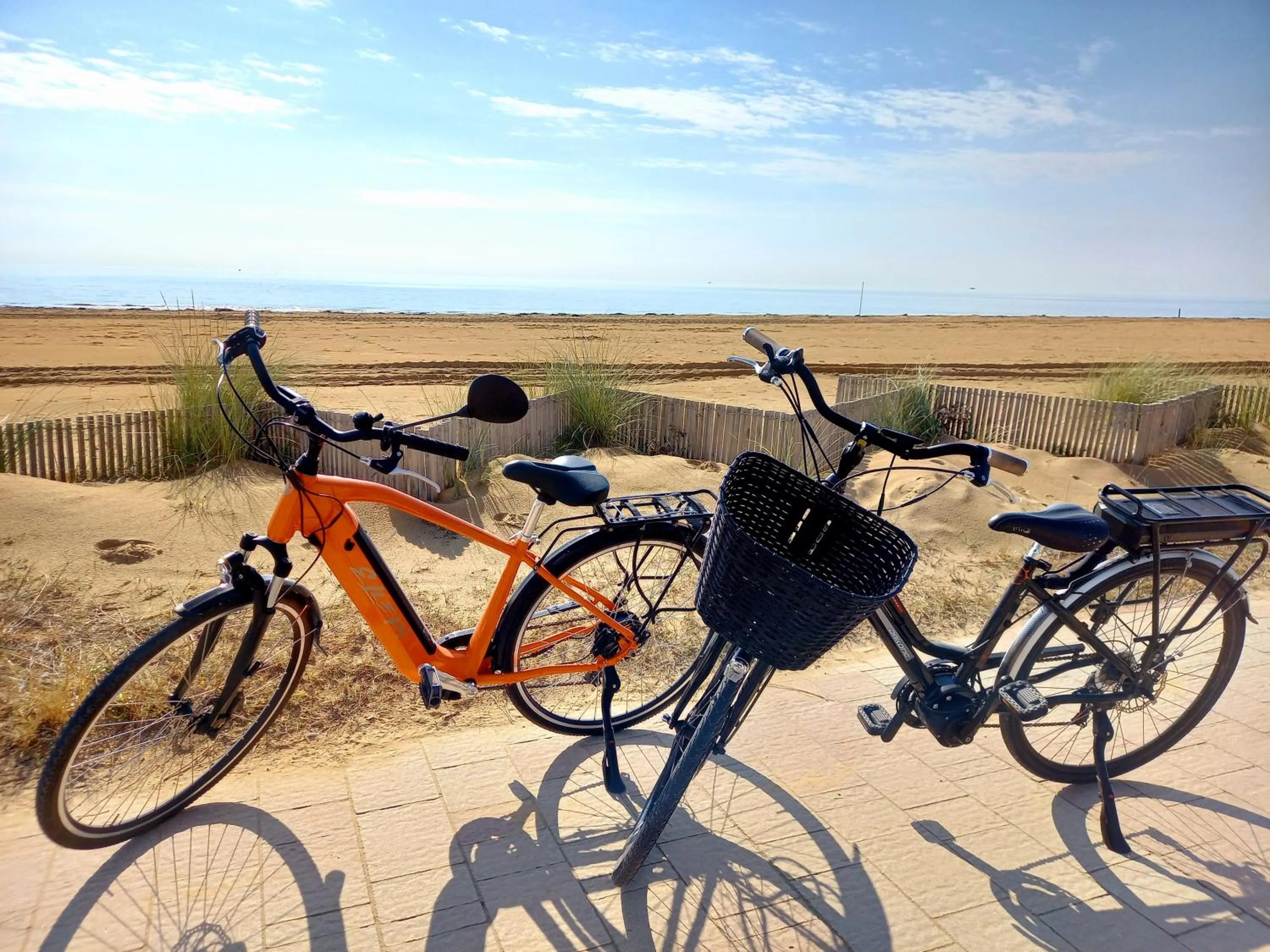 Area and facilities in Hotel Alexander