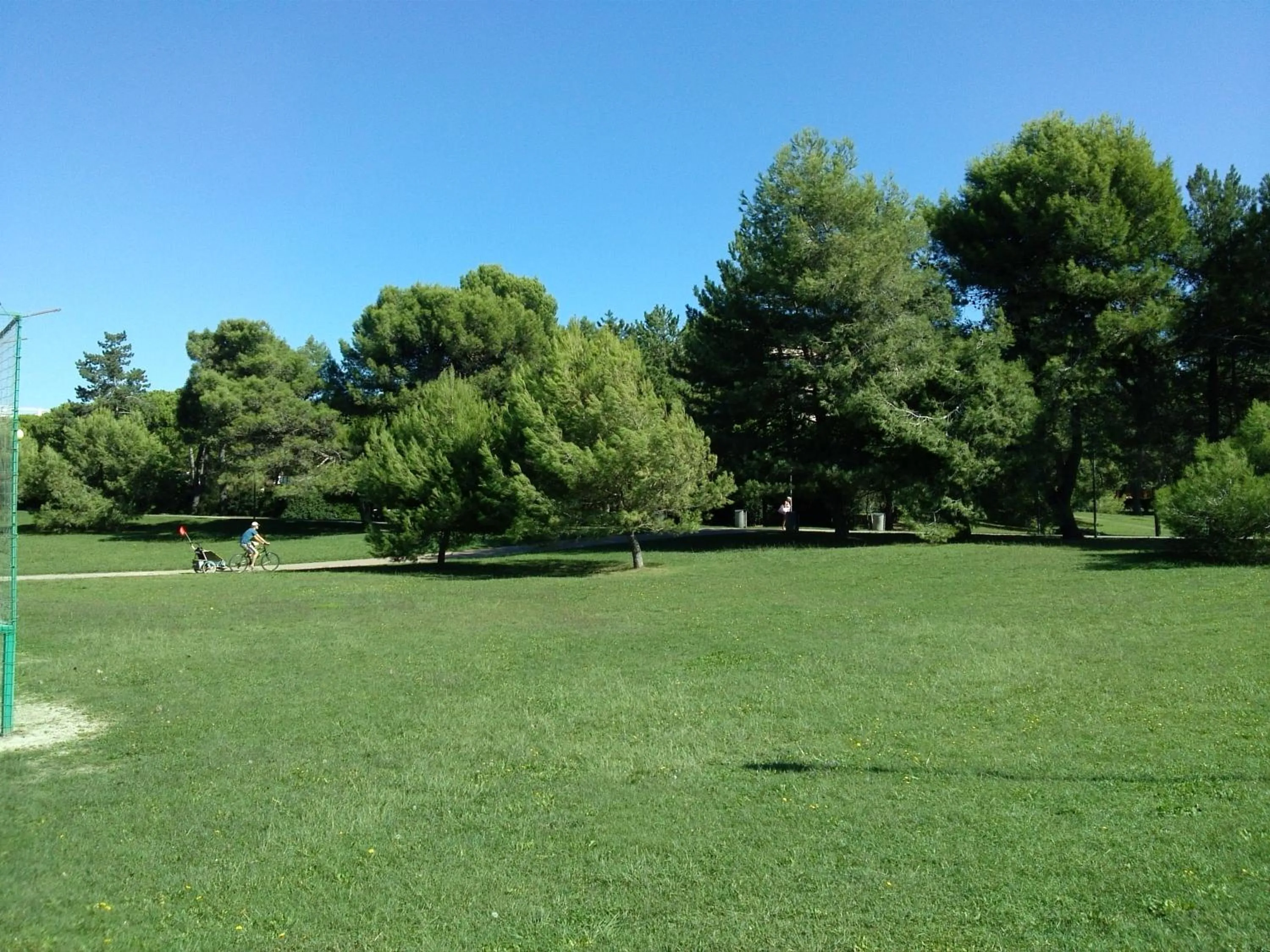 Garden in Hotel Alexander