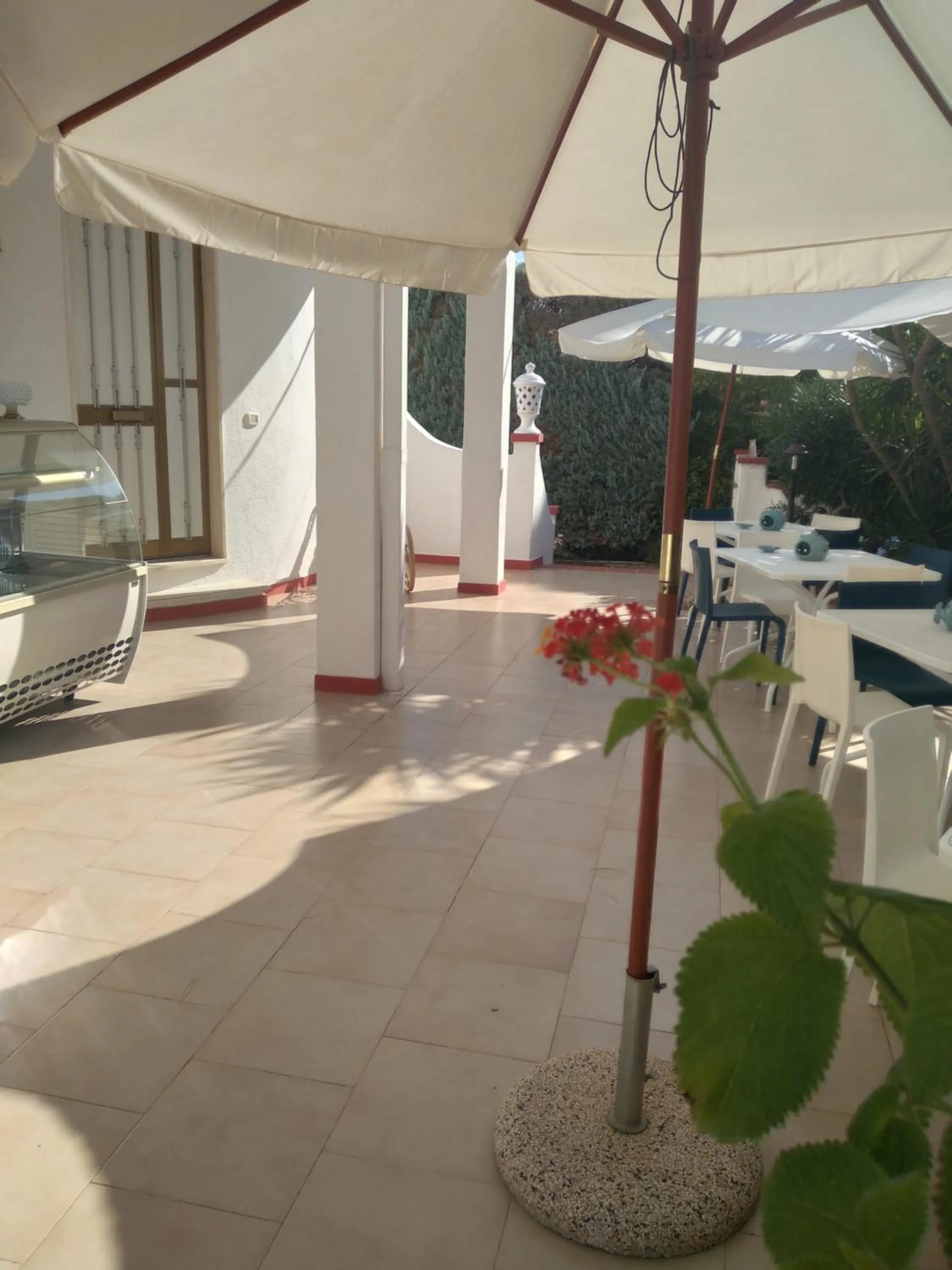 Patio in Villa Elvira B&B