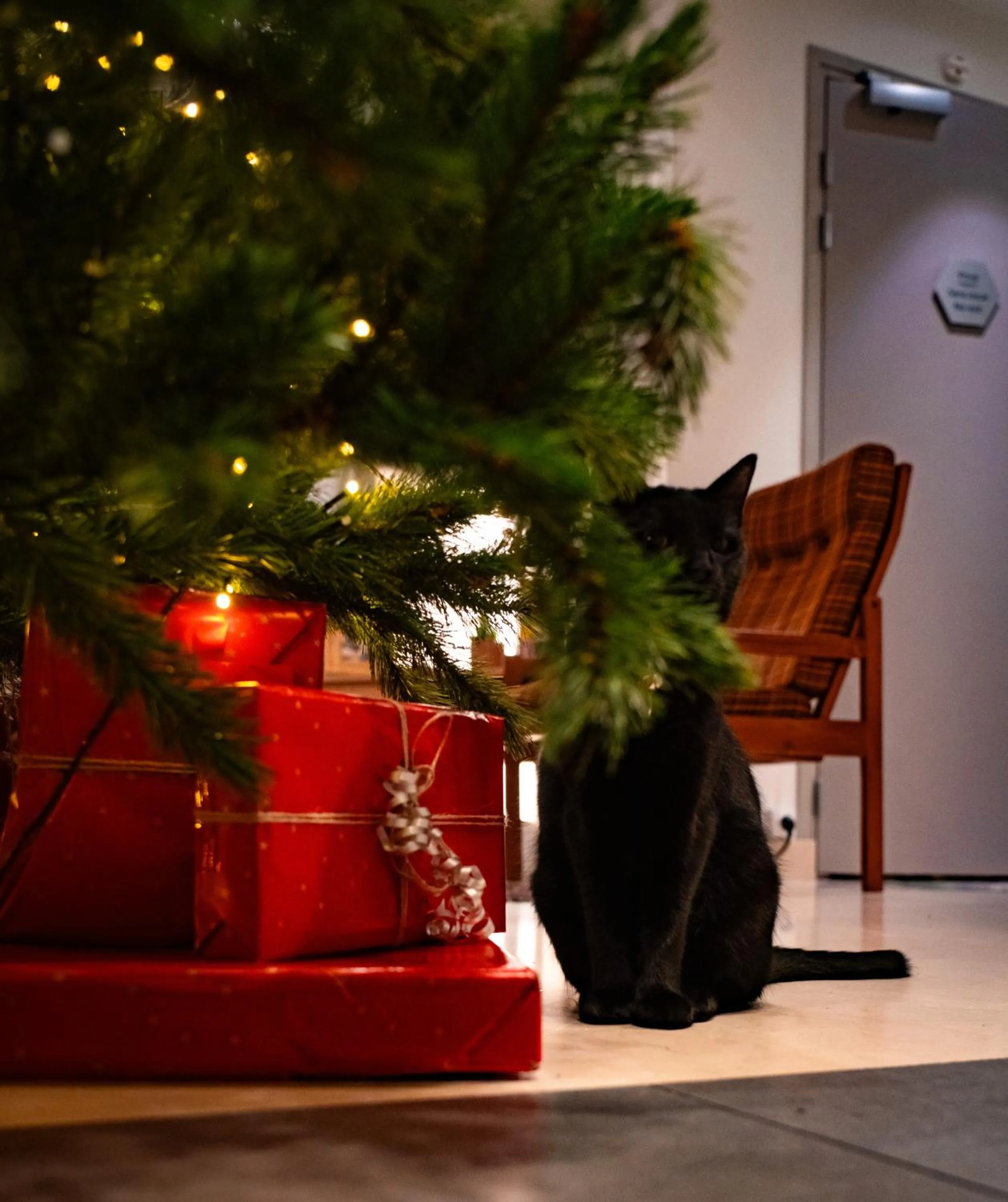 Hôtel Vendome Saint-Germain