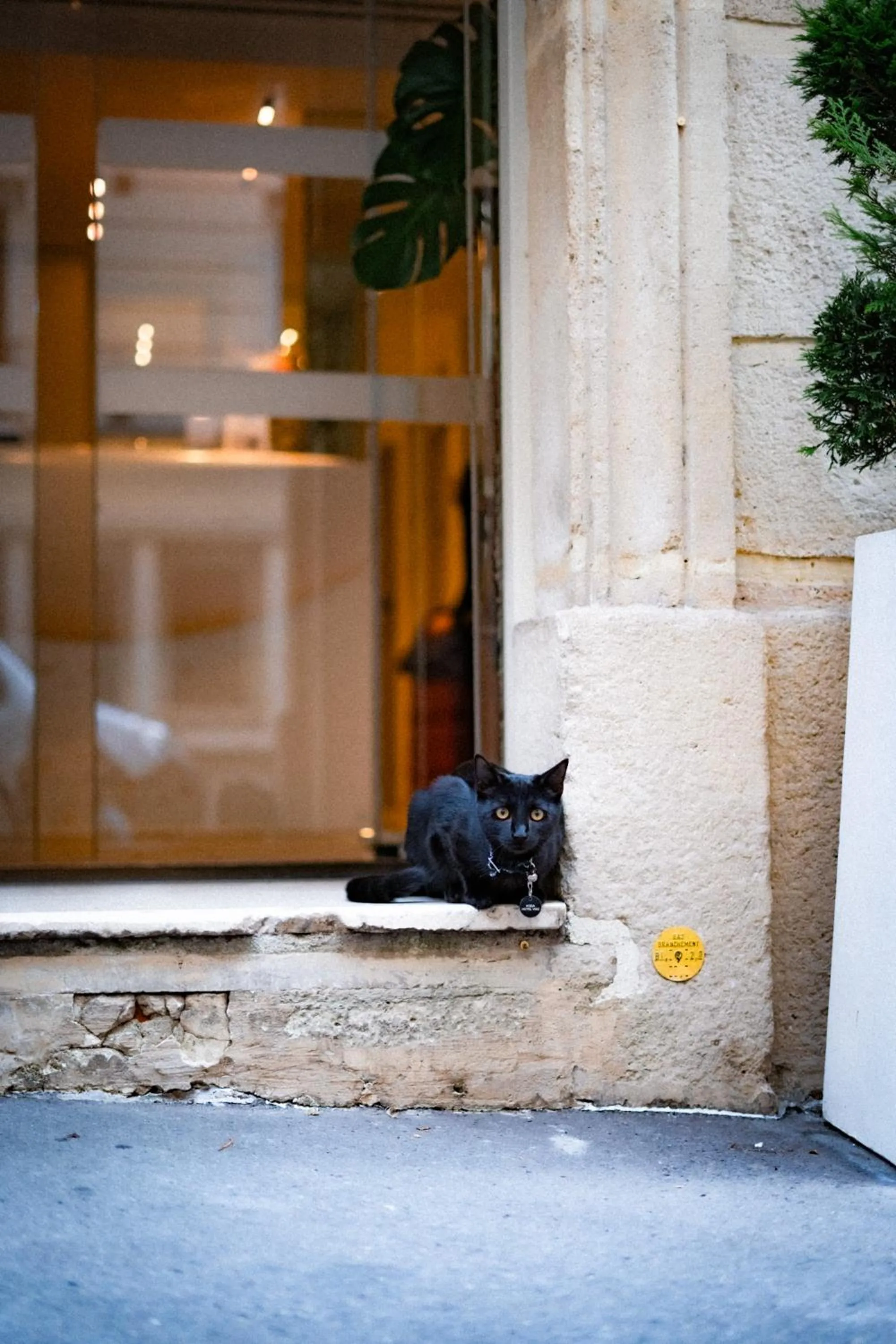 Hôtel Vendome Saint-Germain