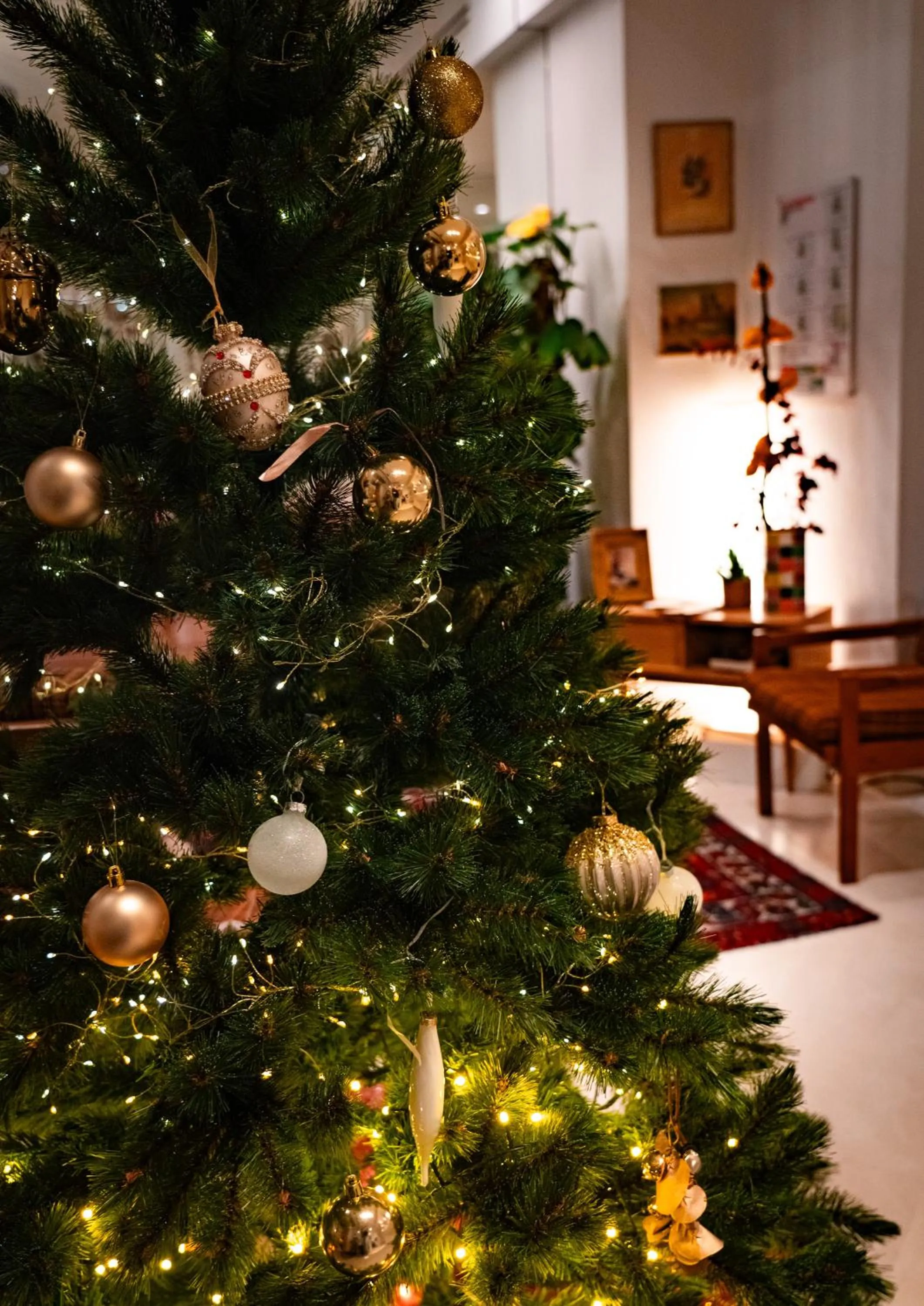 Hôtel Vendome Saint-Germain