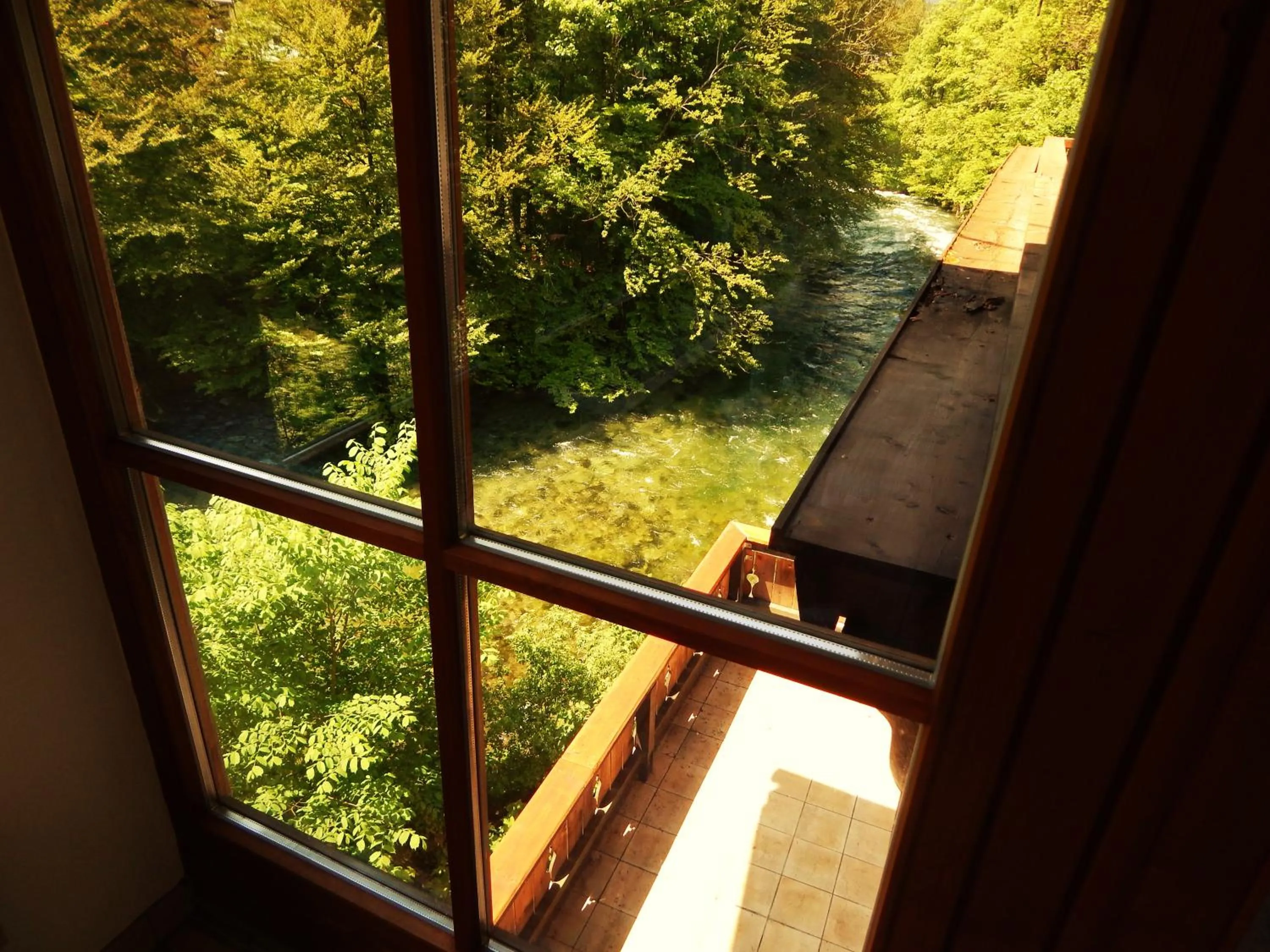 Garden view in Hotel Königsseer Hof