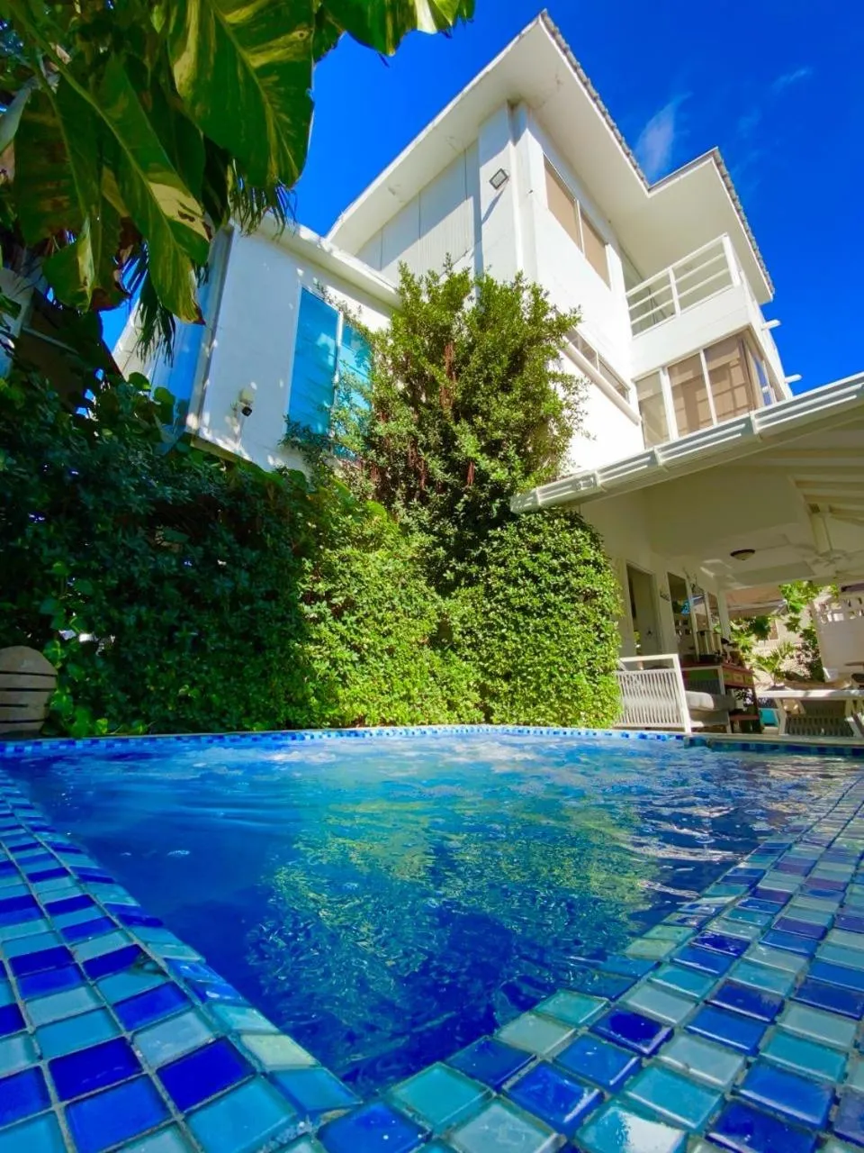 Swimming pool in Summer House Inn San Andres