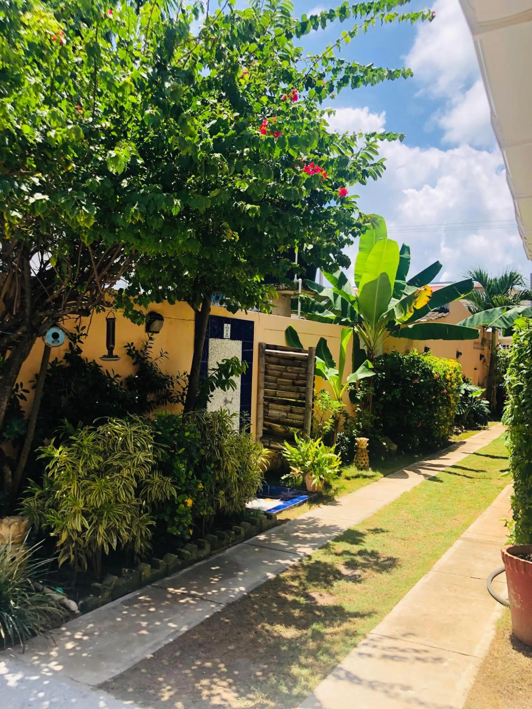 Garden in Summer House Inn San Andres