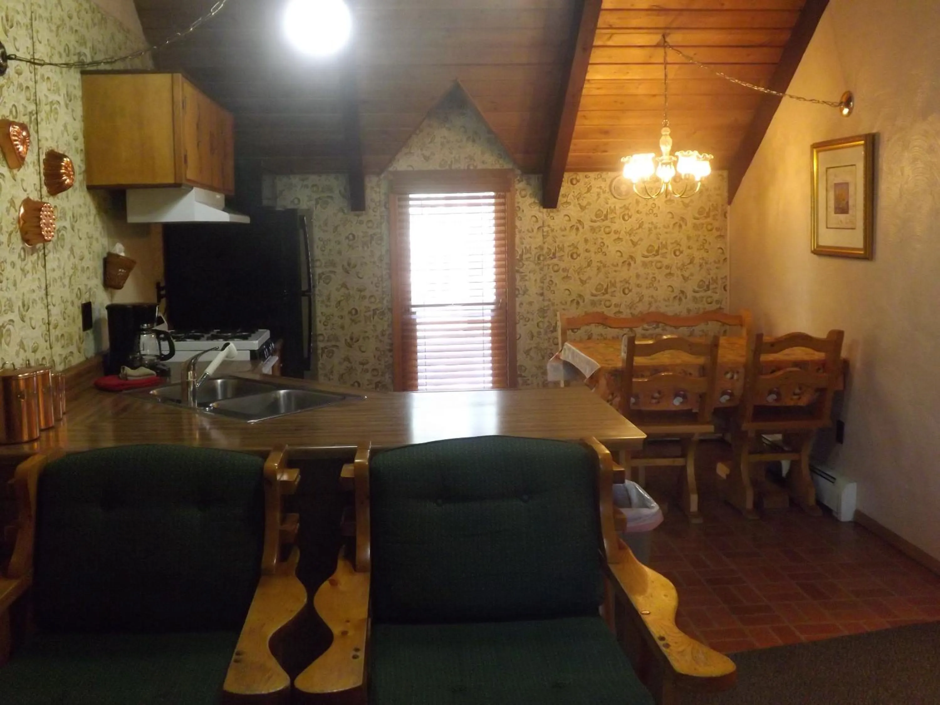 Kitchen or kitchenette in Arizona Mountain Inn & Cabins