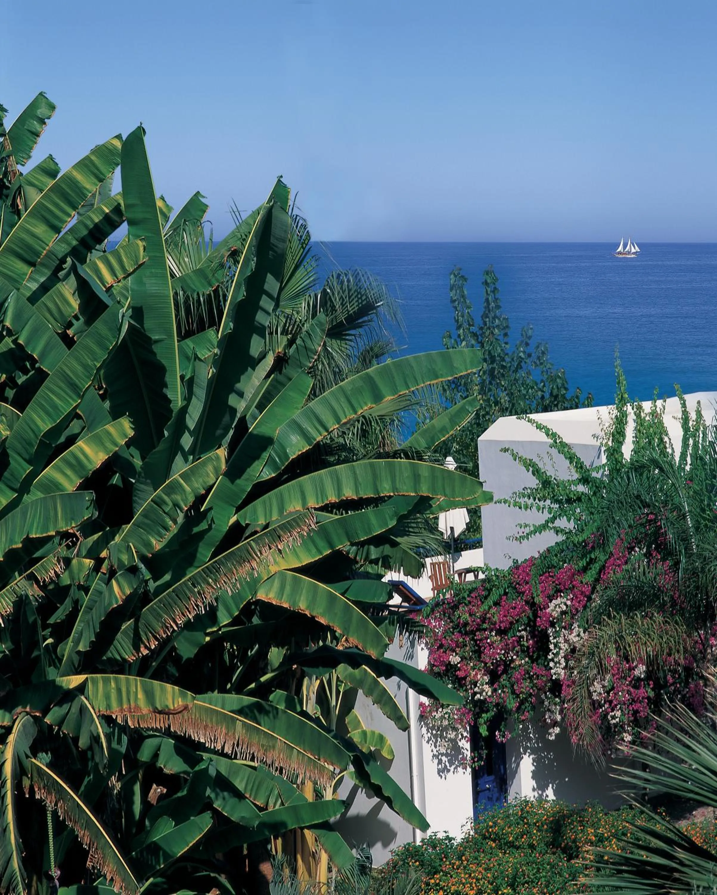 Garden in Azia Resort & Spa