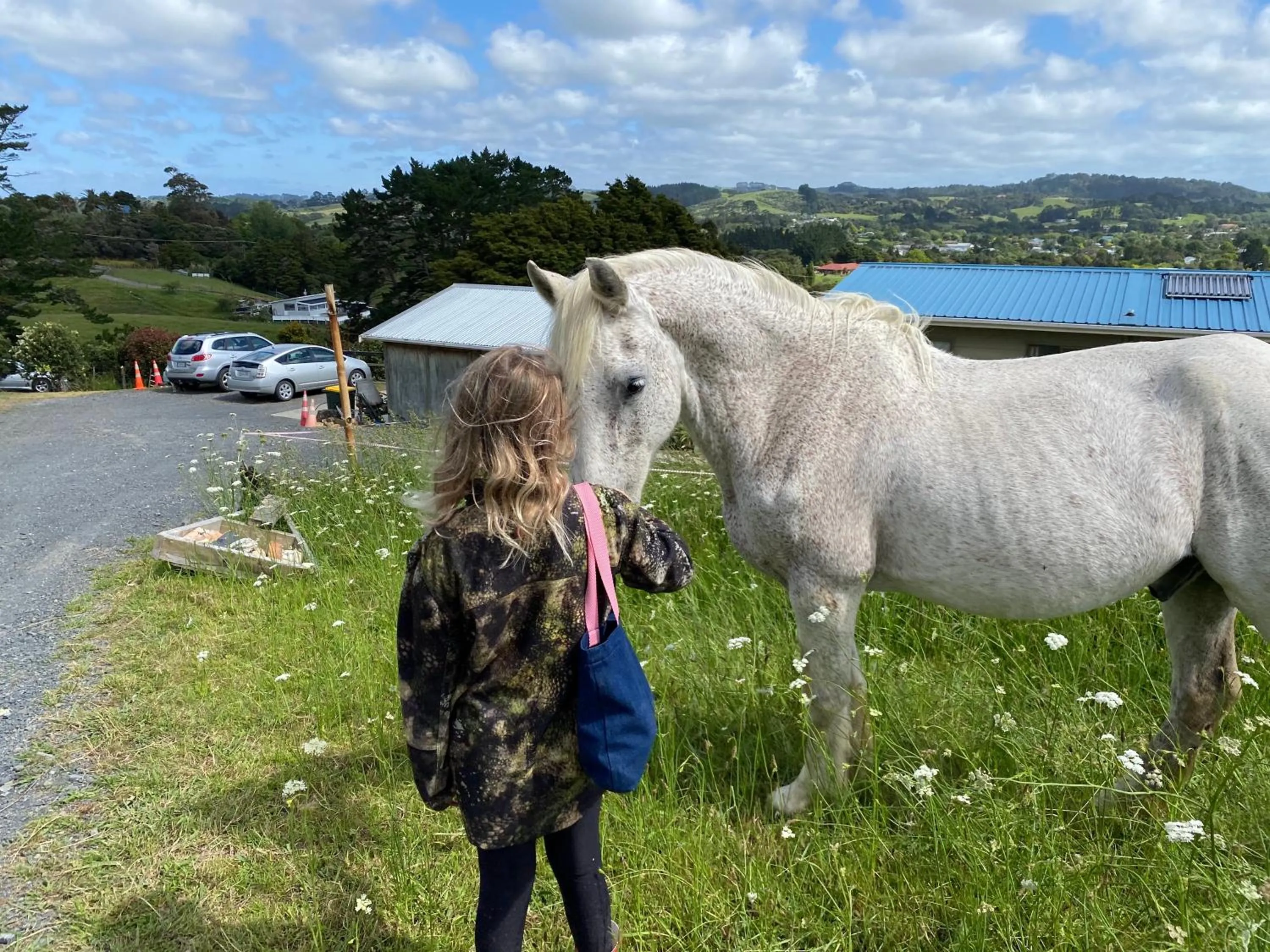 Animals in Pukeatua Farmstay